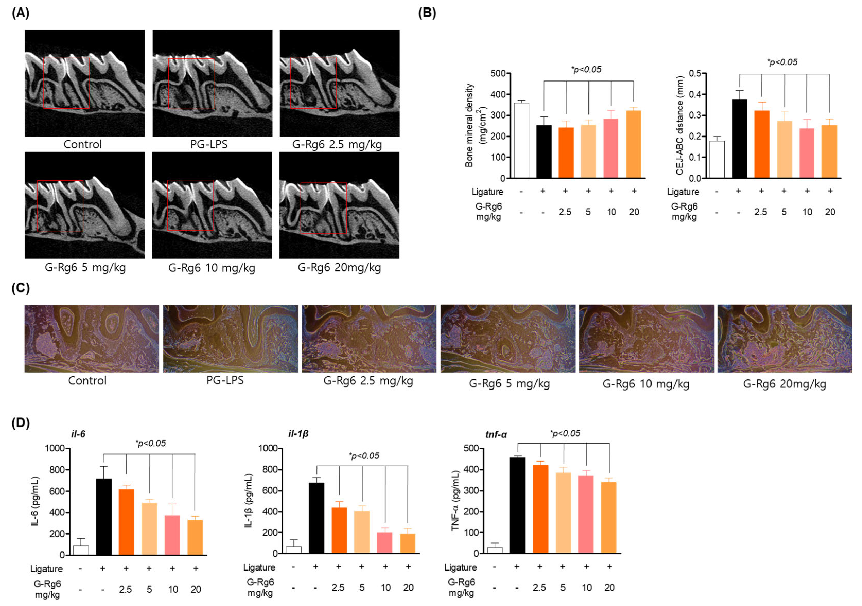 Molecules 29 00046 g006