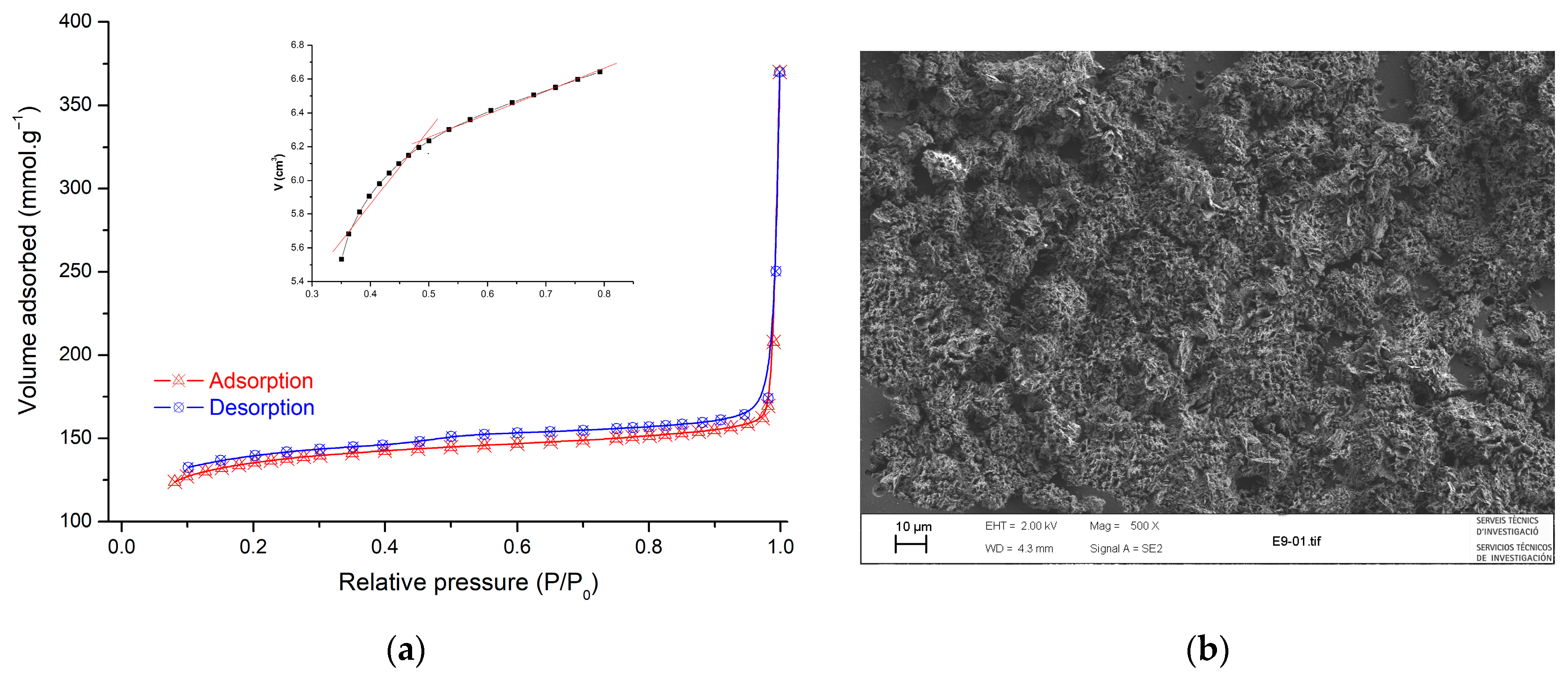 Molecules 29 00054 g003