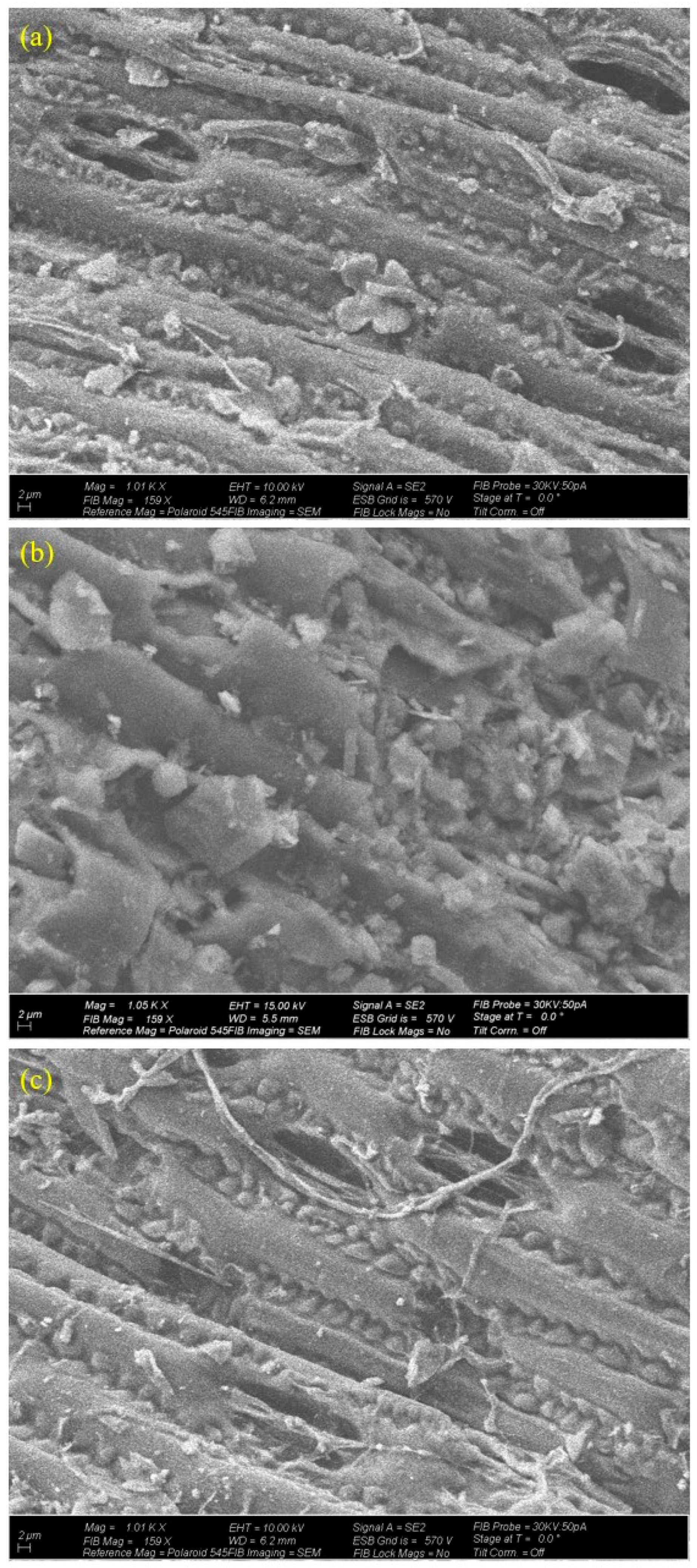 Molecules 29 00063 g003