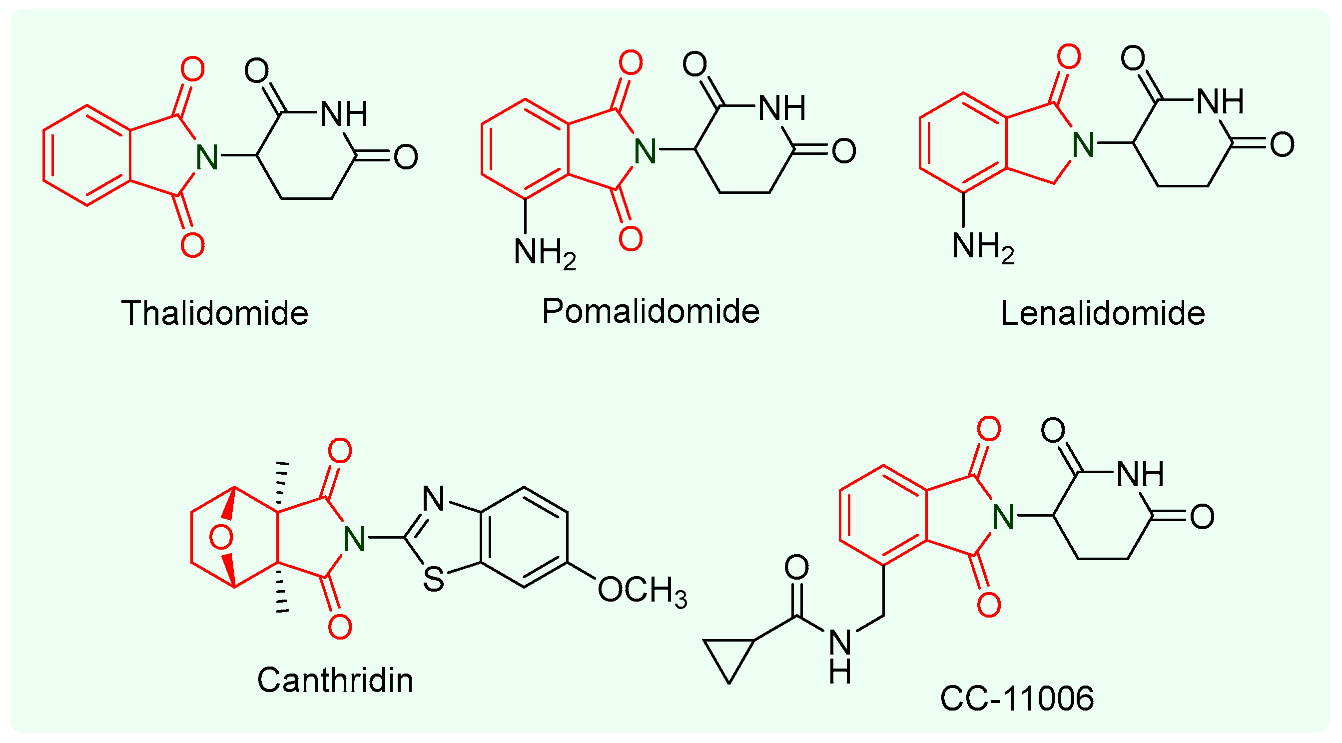 Molecules 29 00067 g001