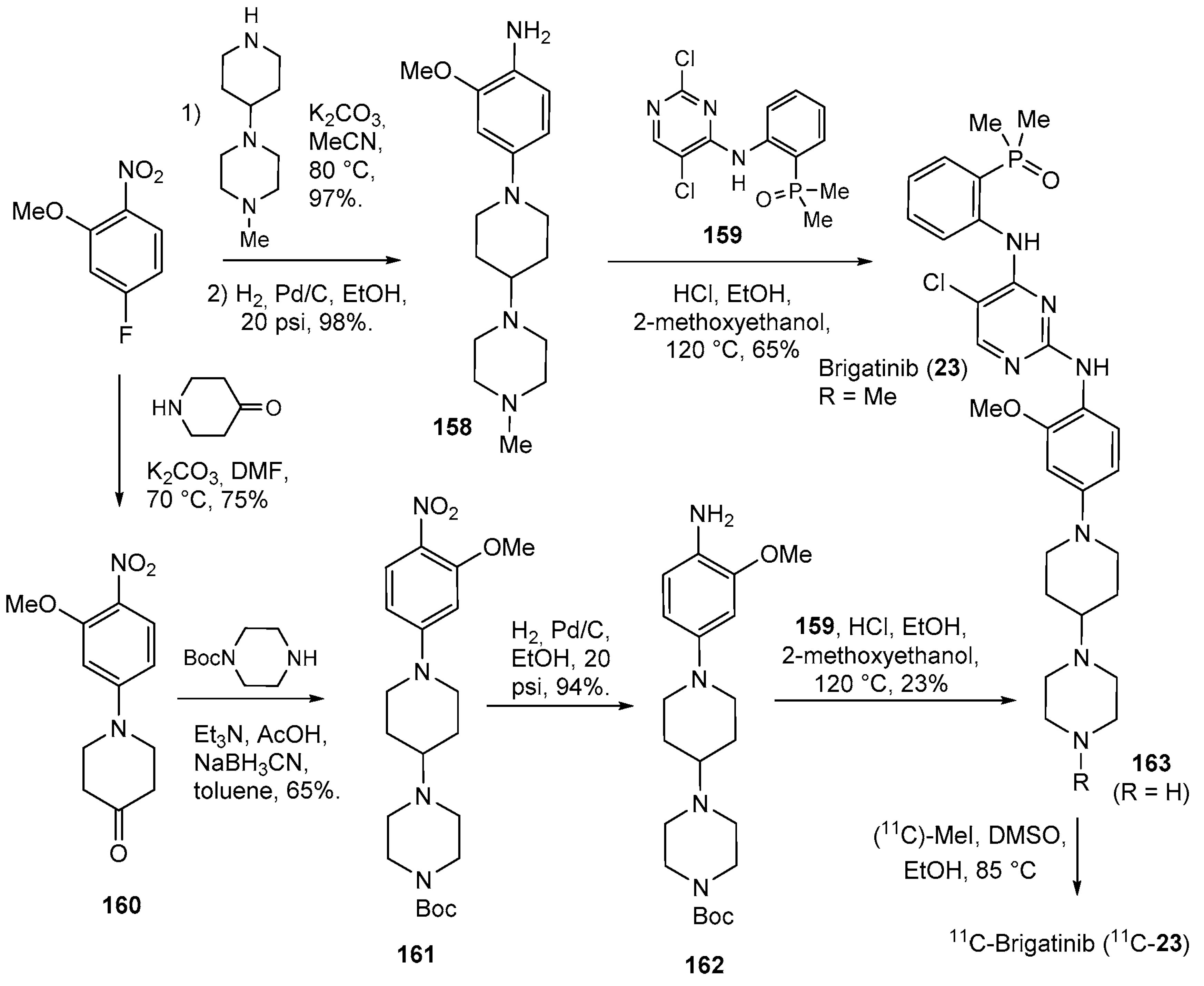 Molecules 29 00068 sch020