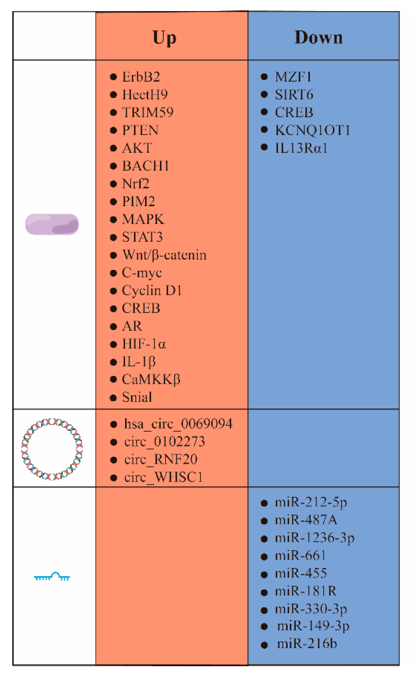 Molecules 29 00075 g005 Molecules 29 00075 g005
