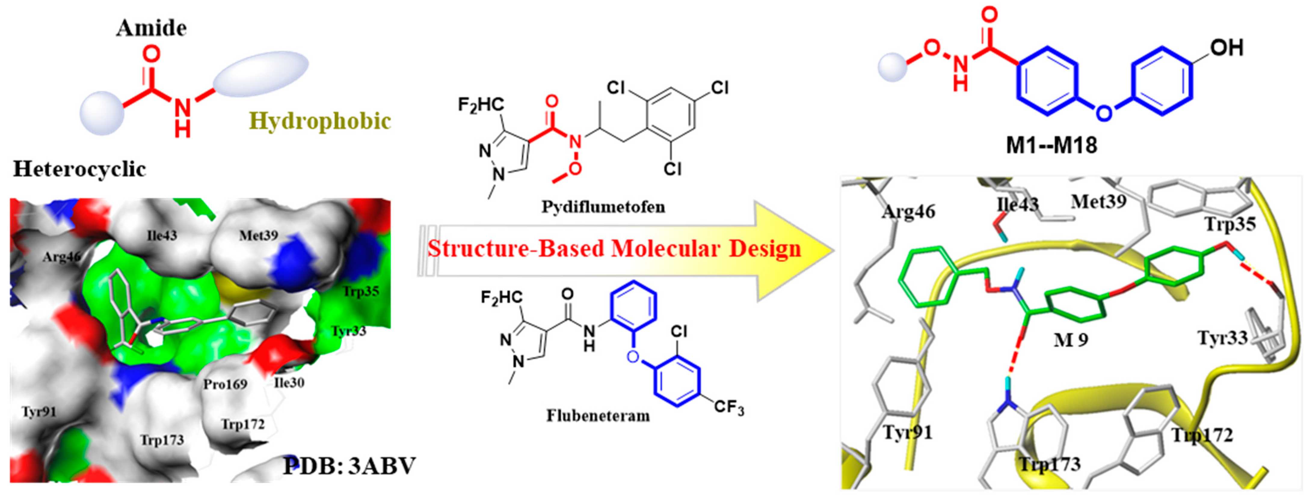 Molecules 29 00083 g001
