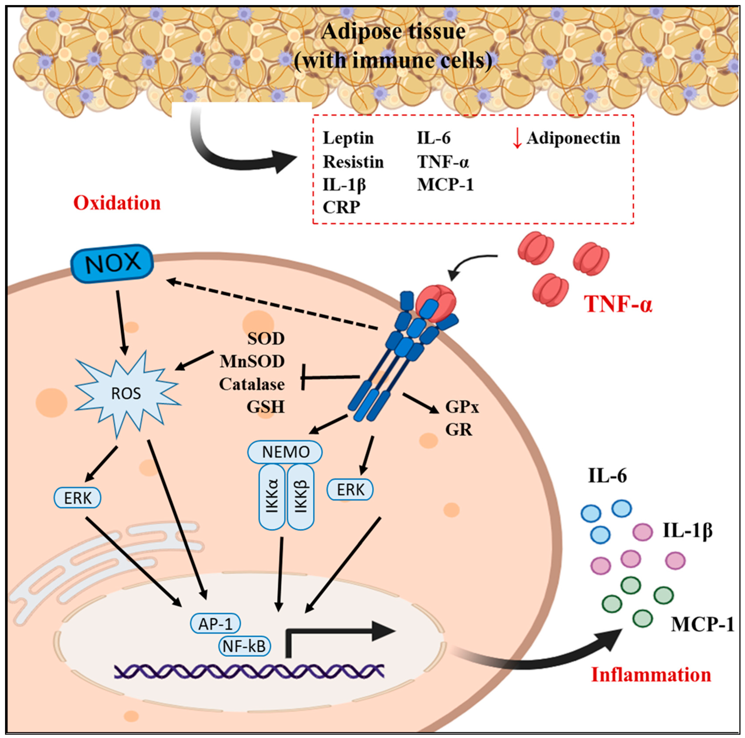 Molecules 29 00088 g008 Molecules 29 00088 g008
