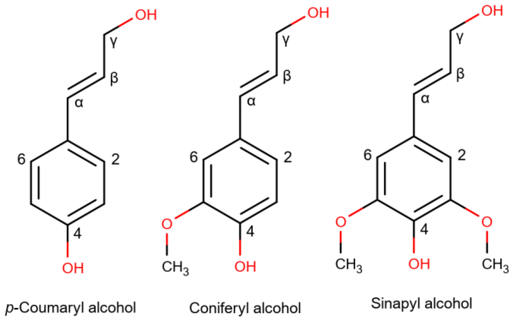Molecules 29 00098 g001