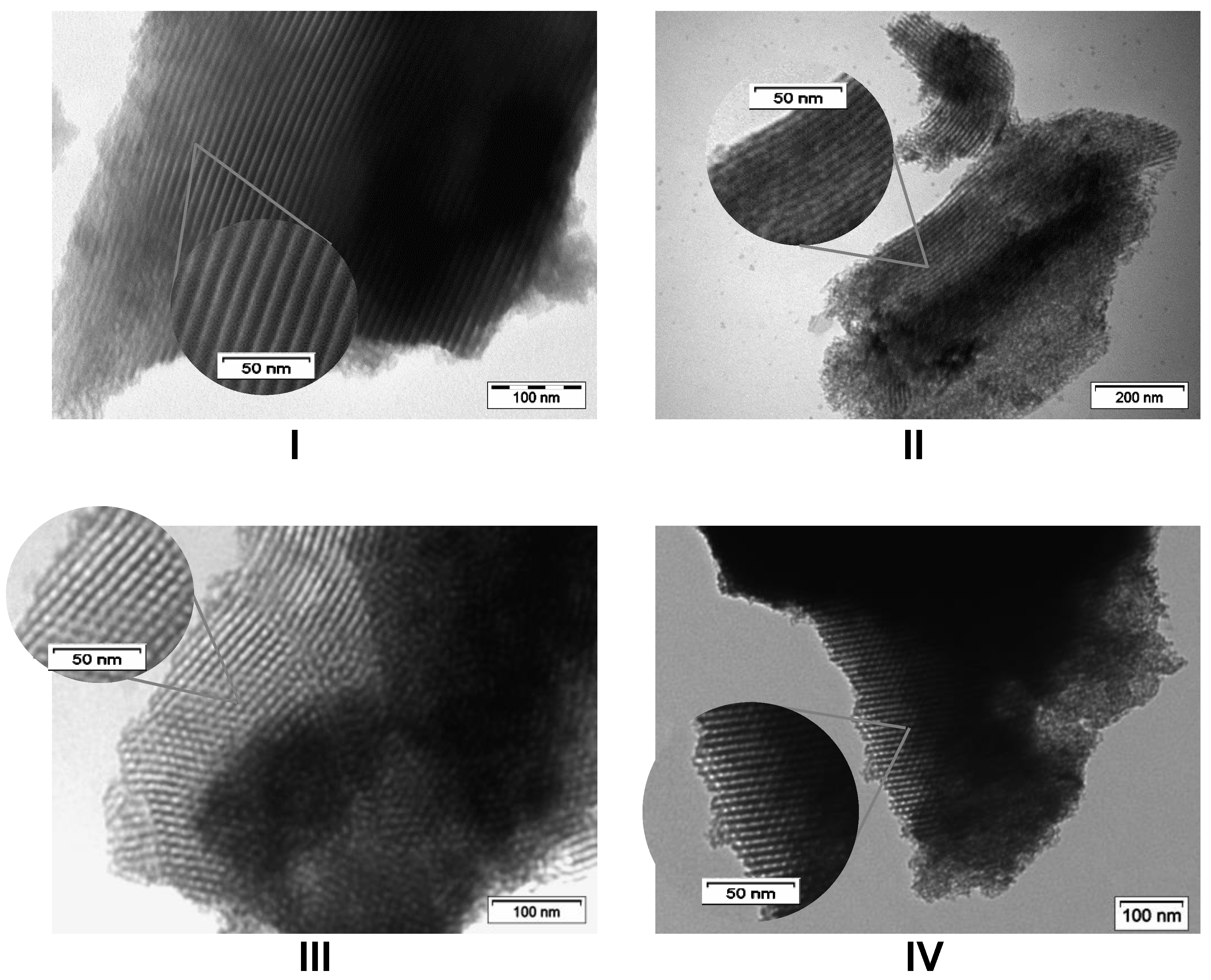 Molecules 29 00102 g006