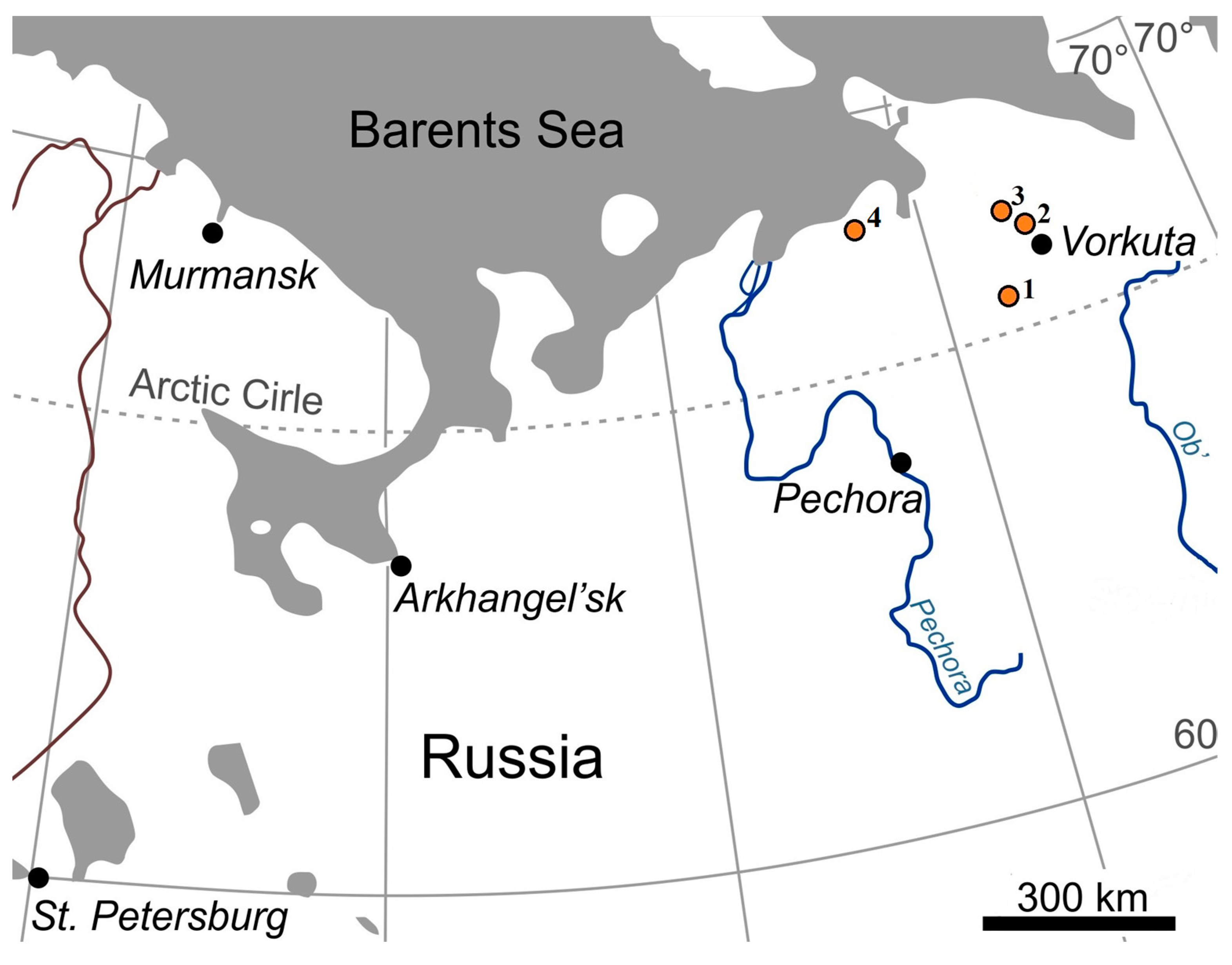 Molecules 29 00104 g003