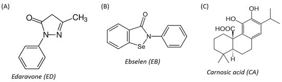 Molecules 29 00119 g001