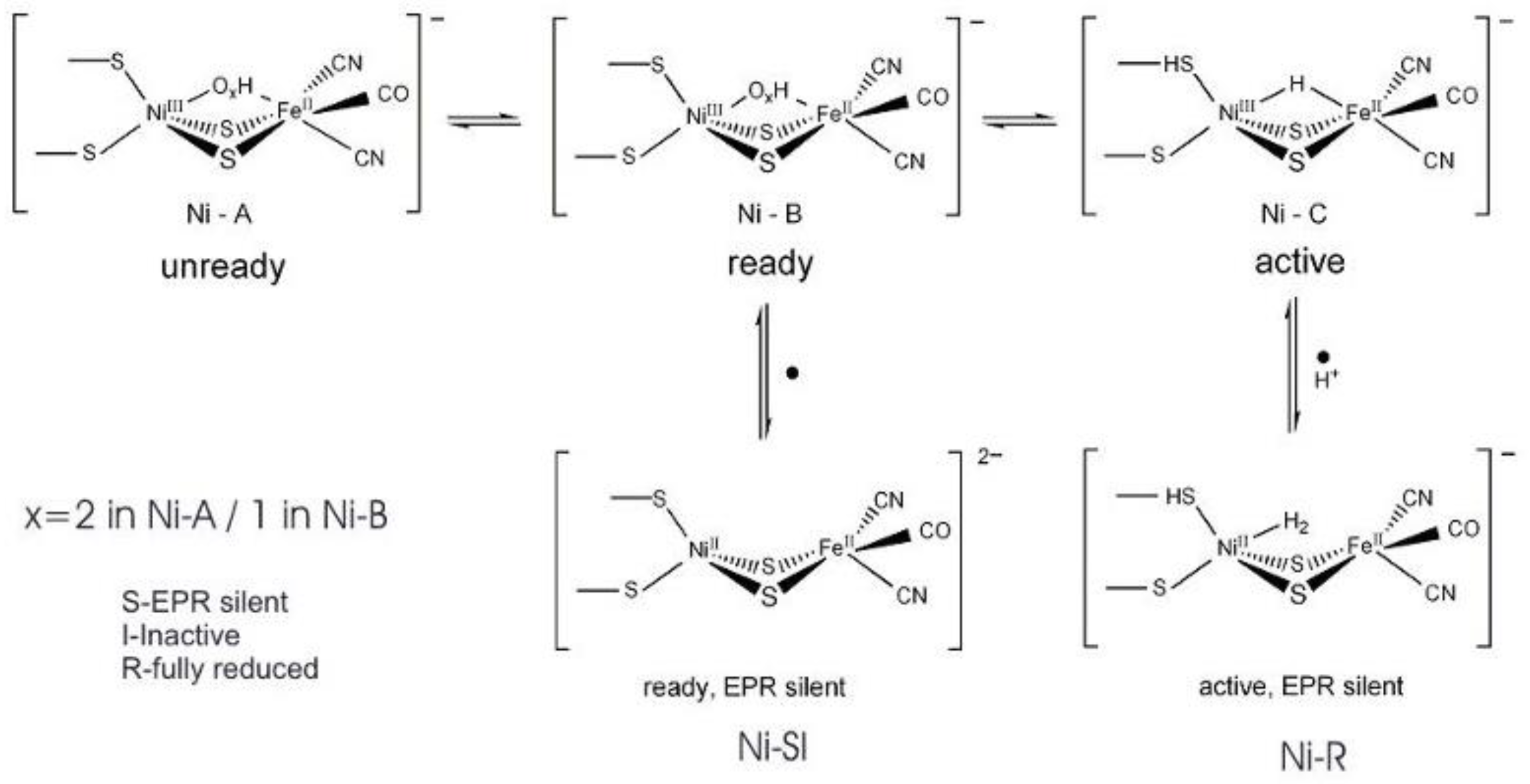 Molecules 29 00120 g006