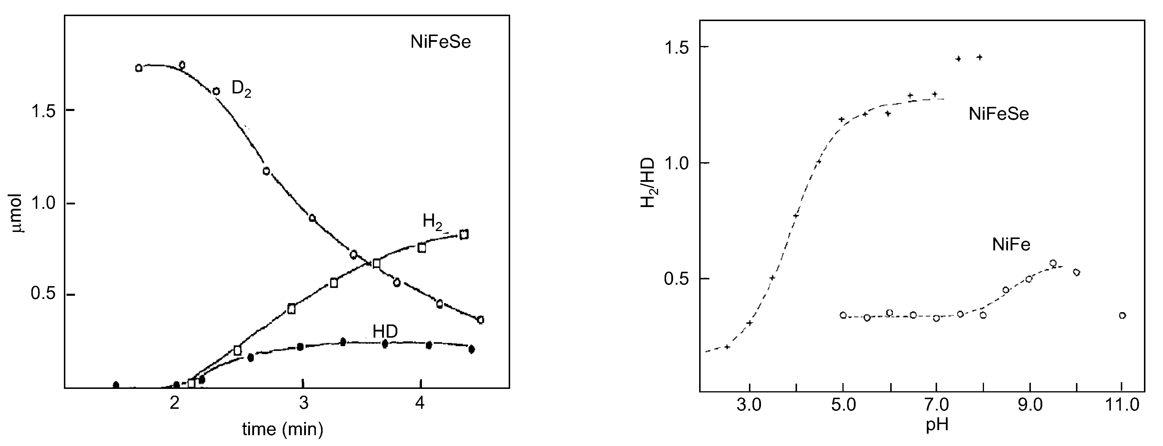 Molecules 29 00120 g008