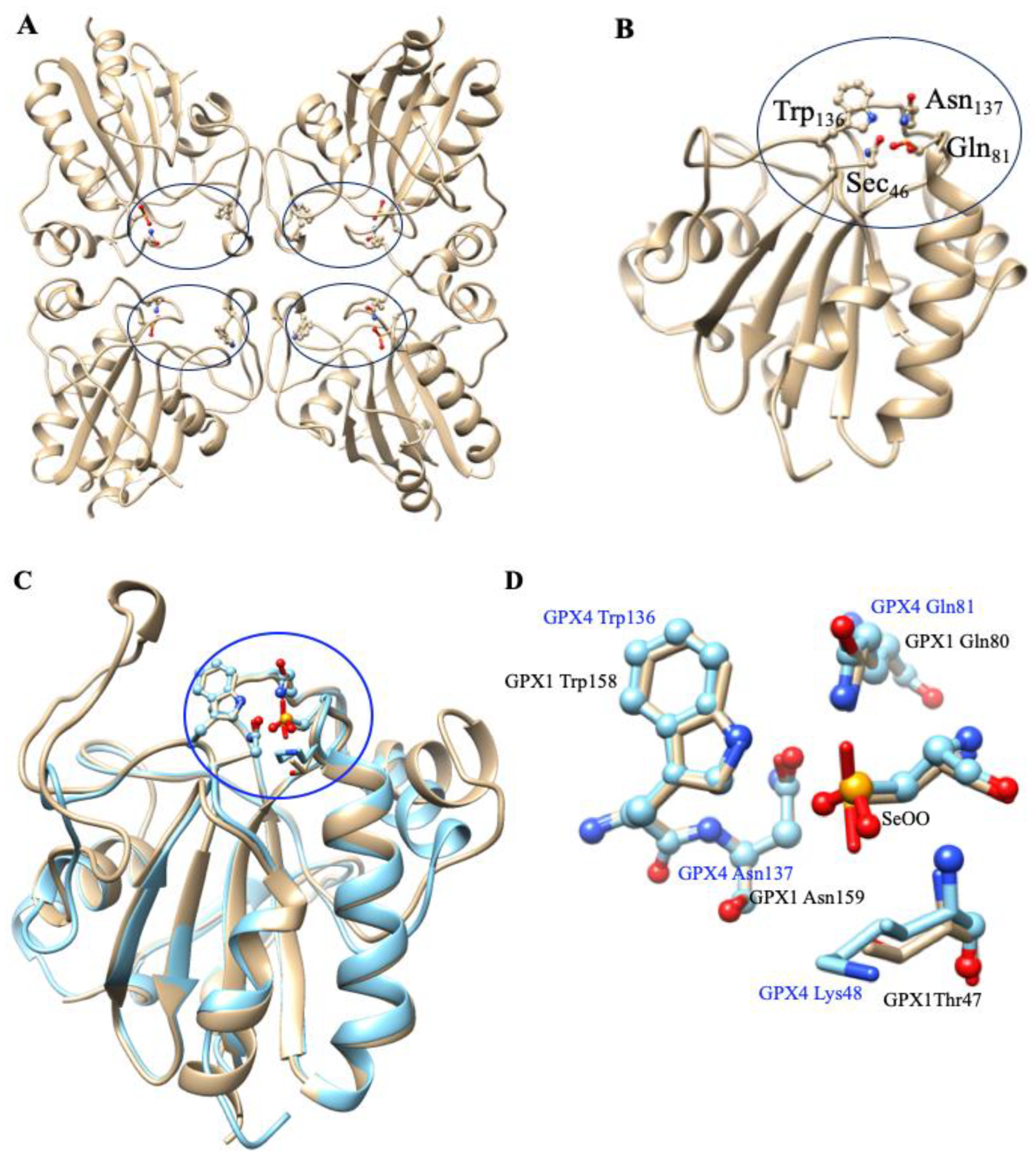 Molecules 29 00120 g009