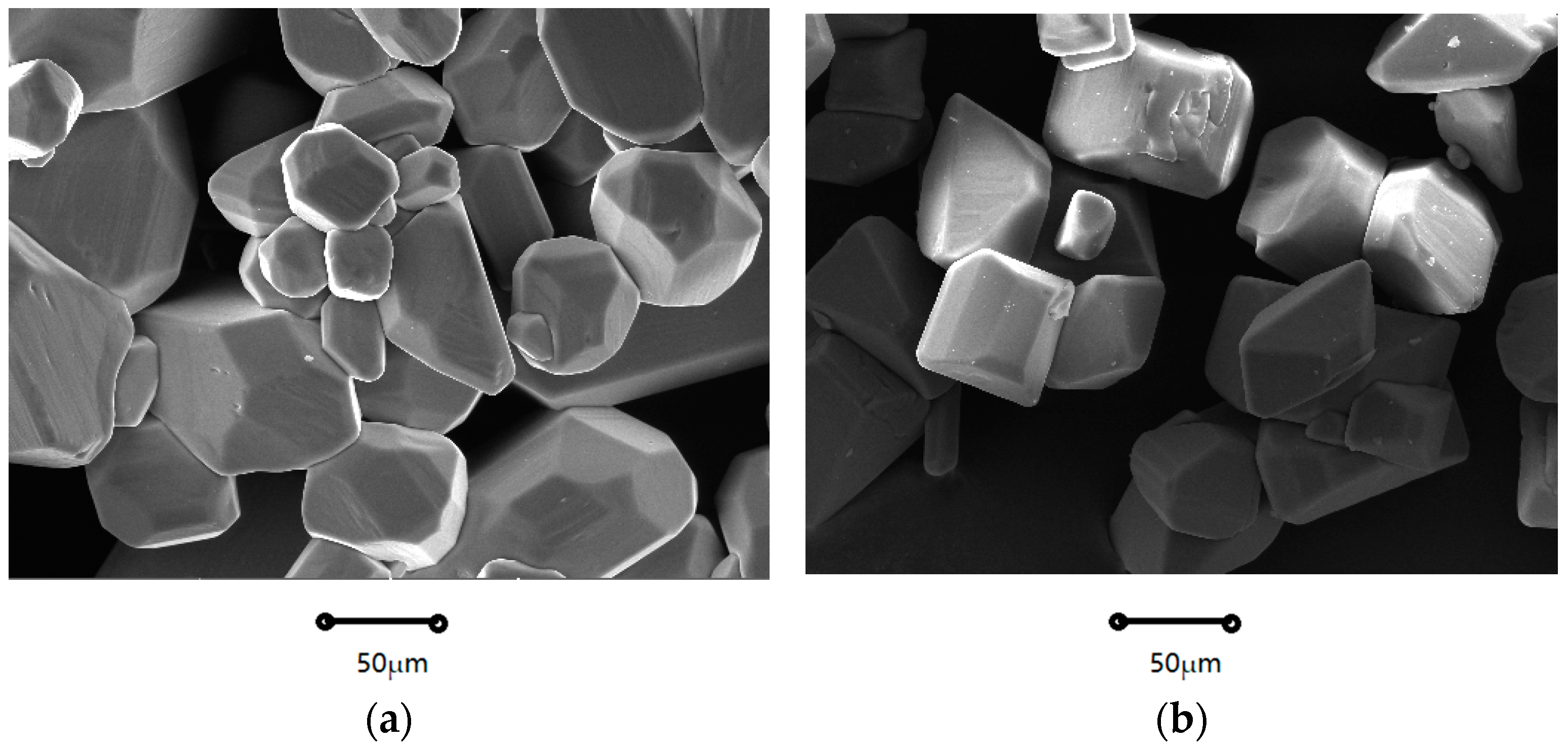 Molecules 29 00141 g002a