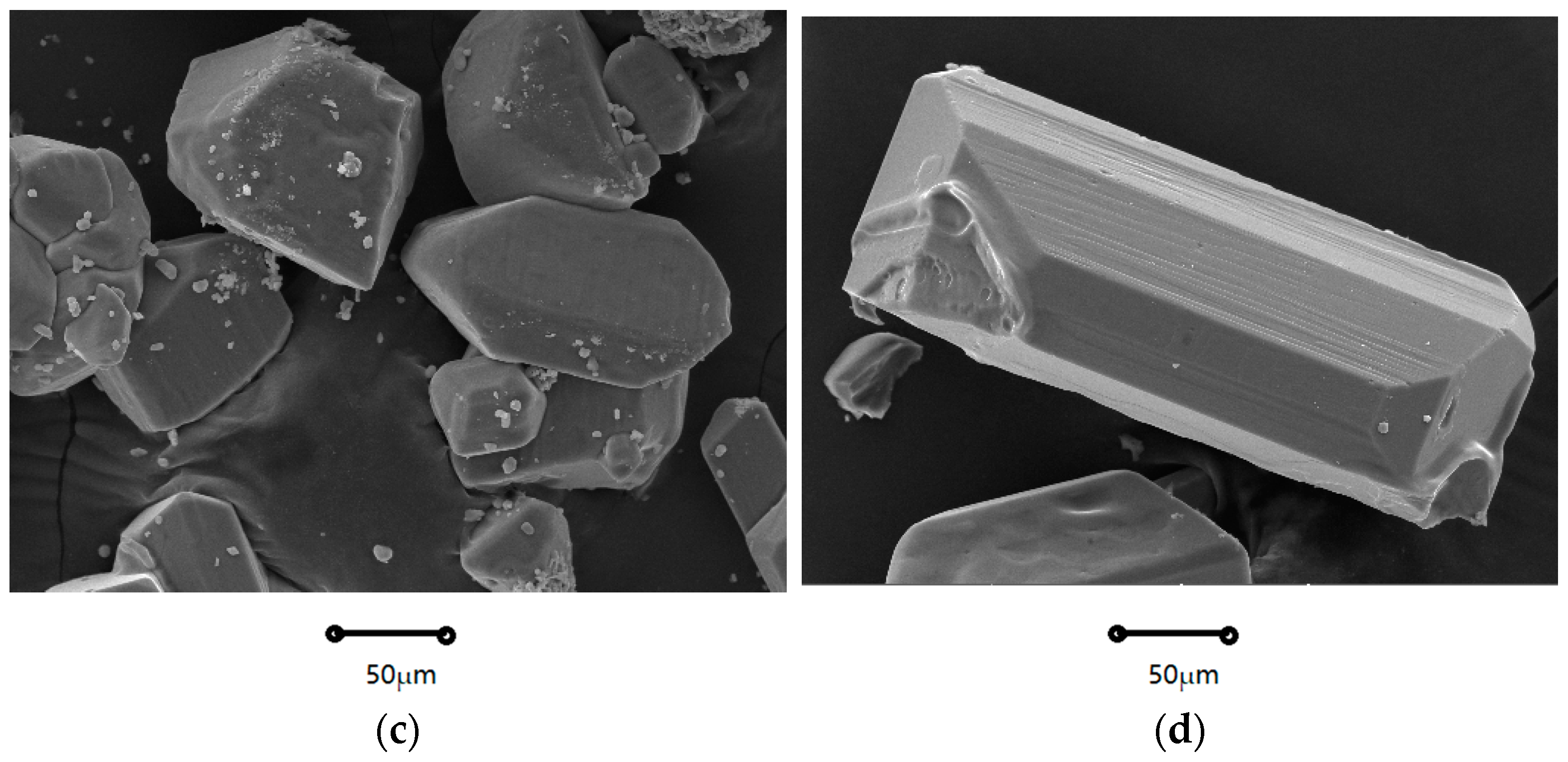 Molecules 29 00141 g002b