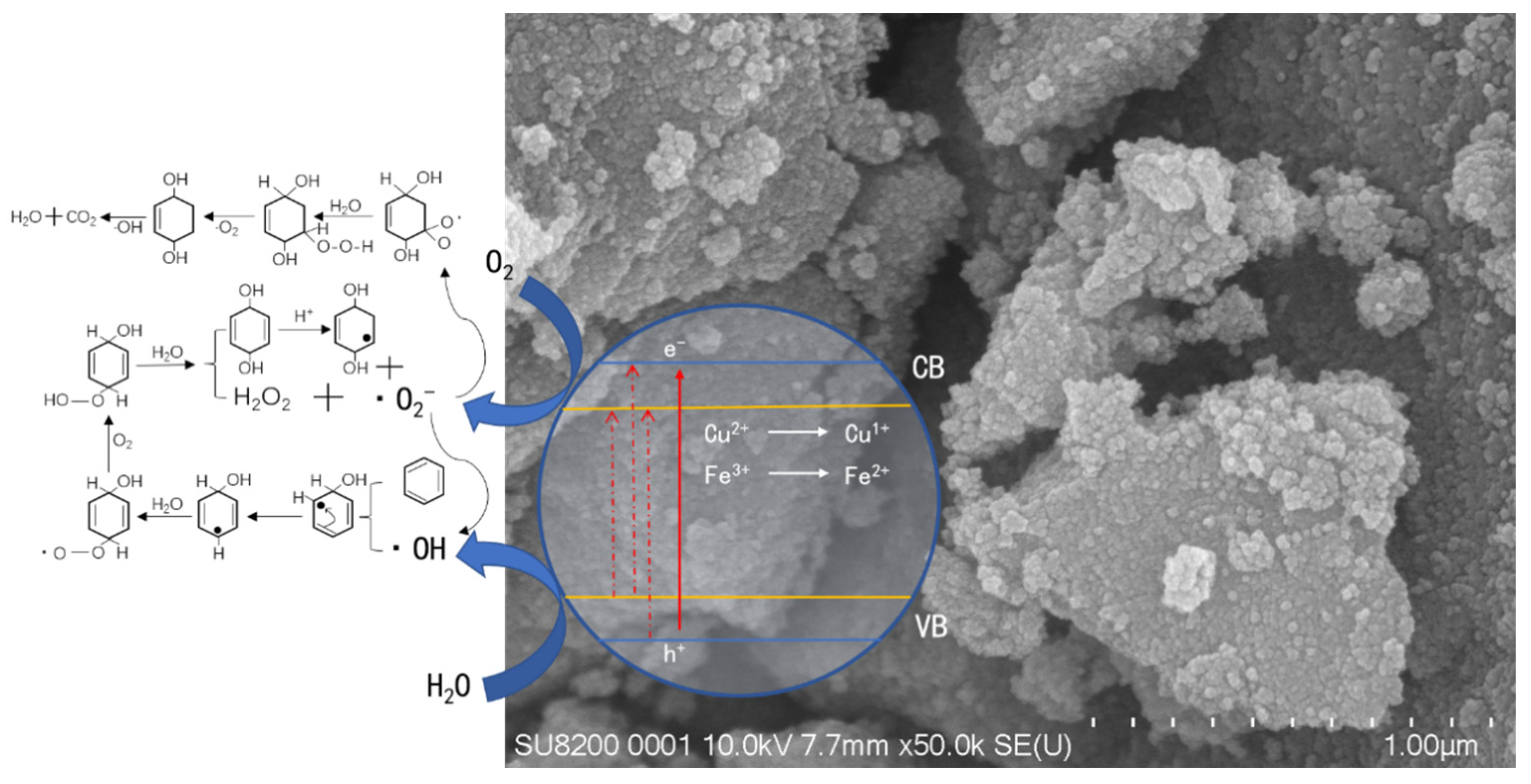 Molecules 29 00144 g010