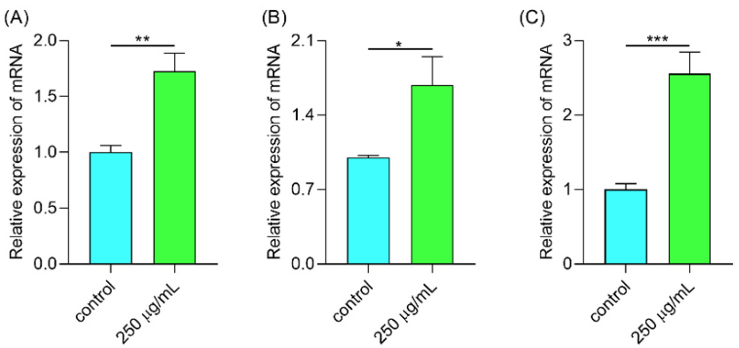 Molecules 29 00150 g011