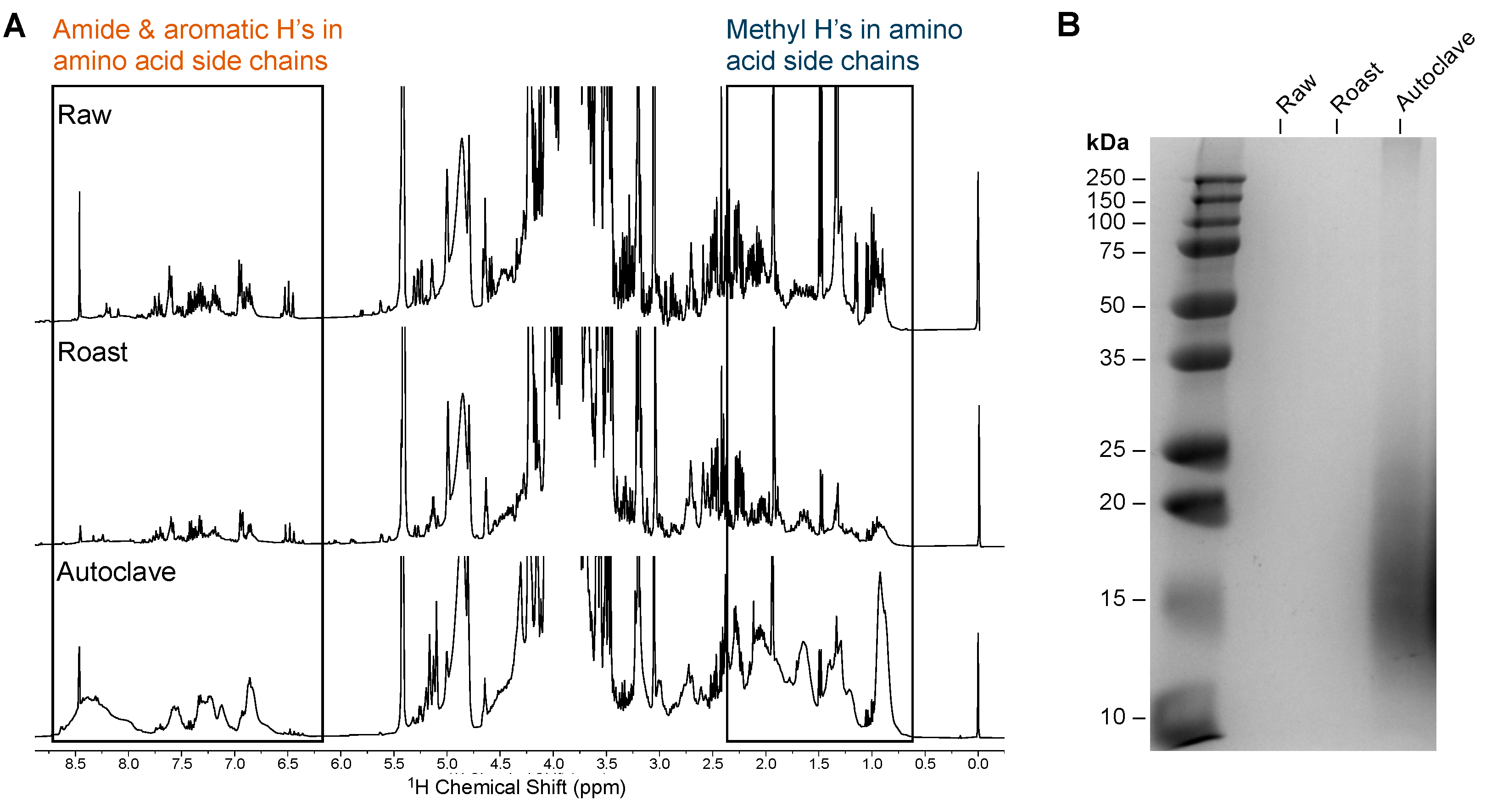 Molecules 29 00162 g004