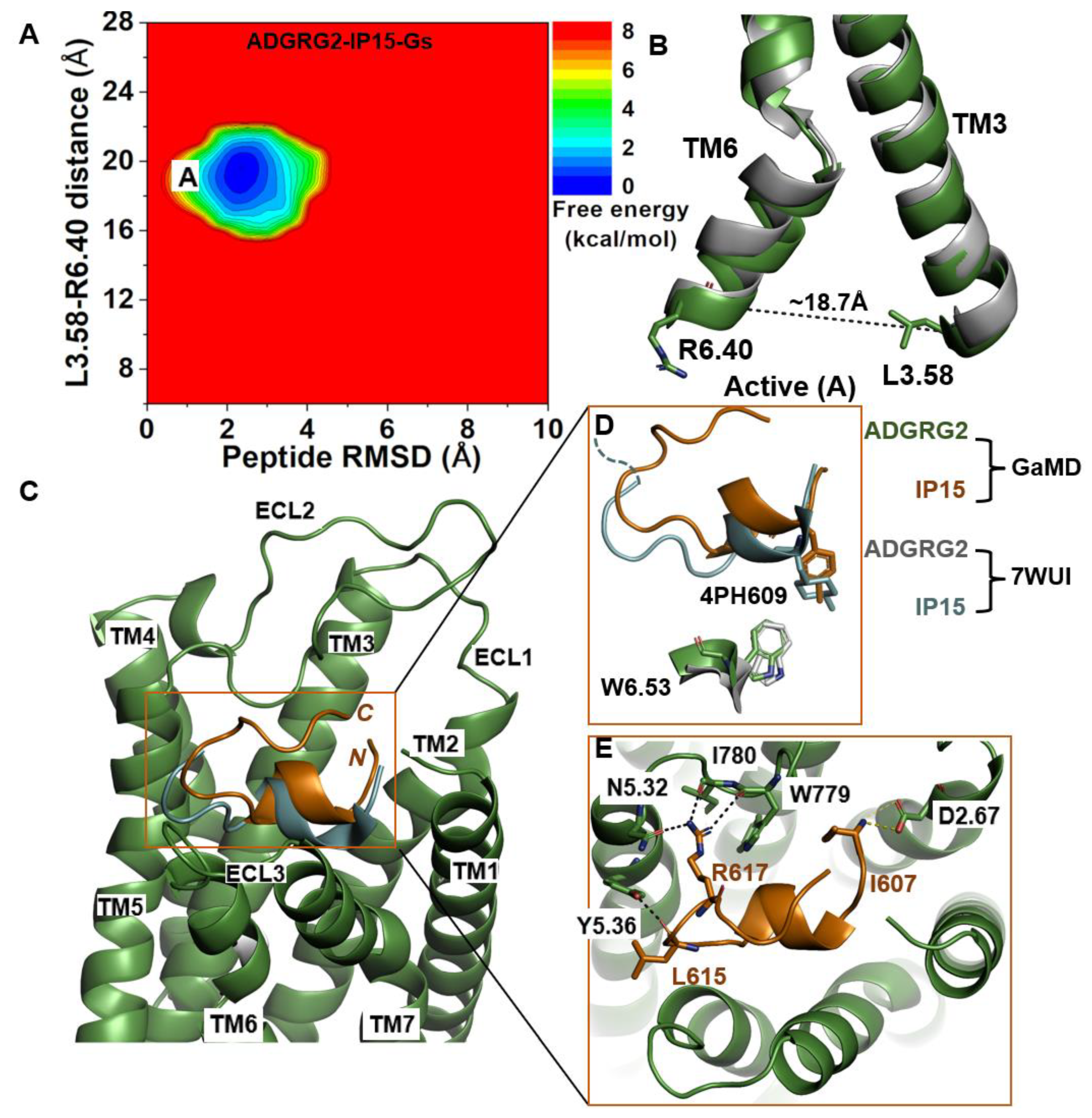 Molecules 29 00164 g001