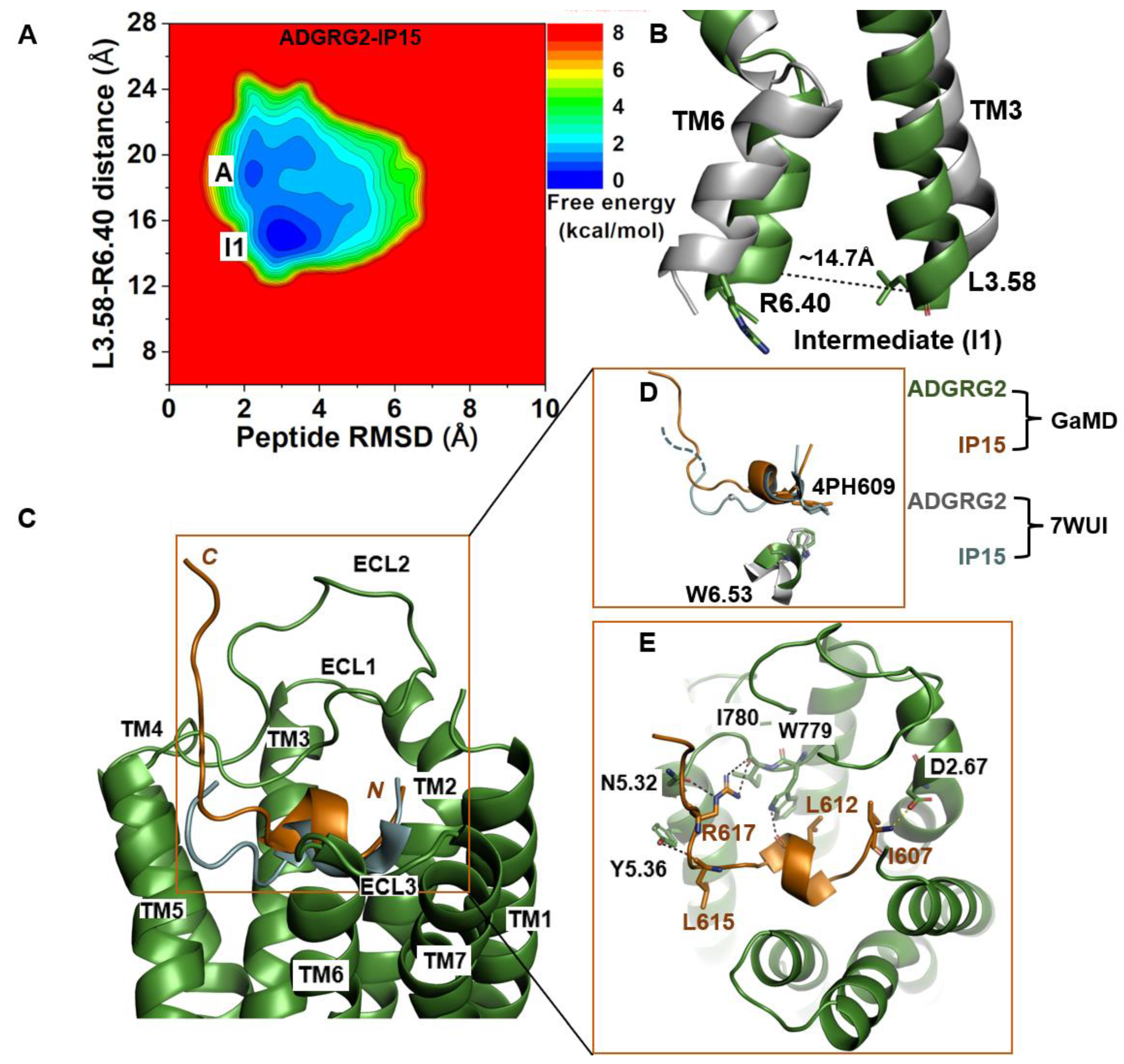 Molecules 29 00164 g002