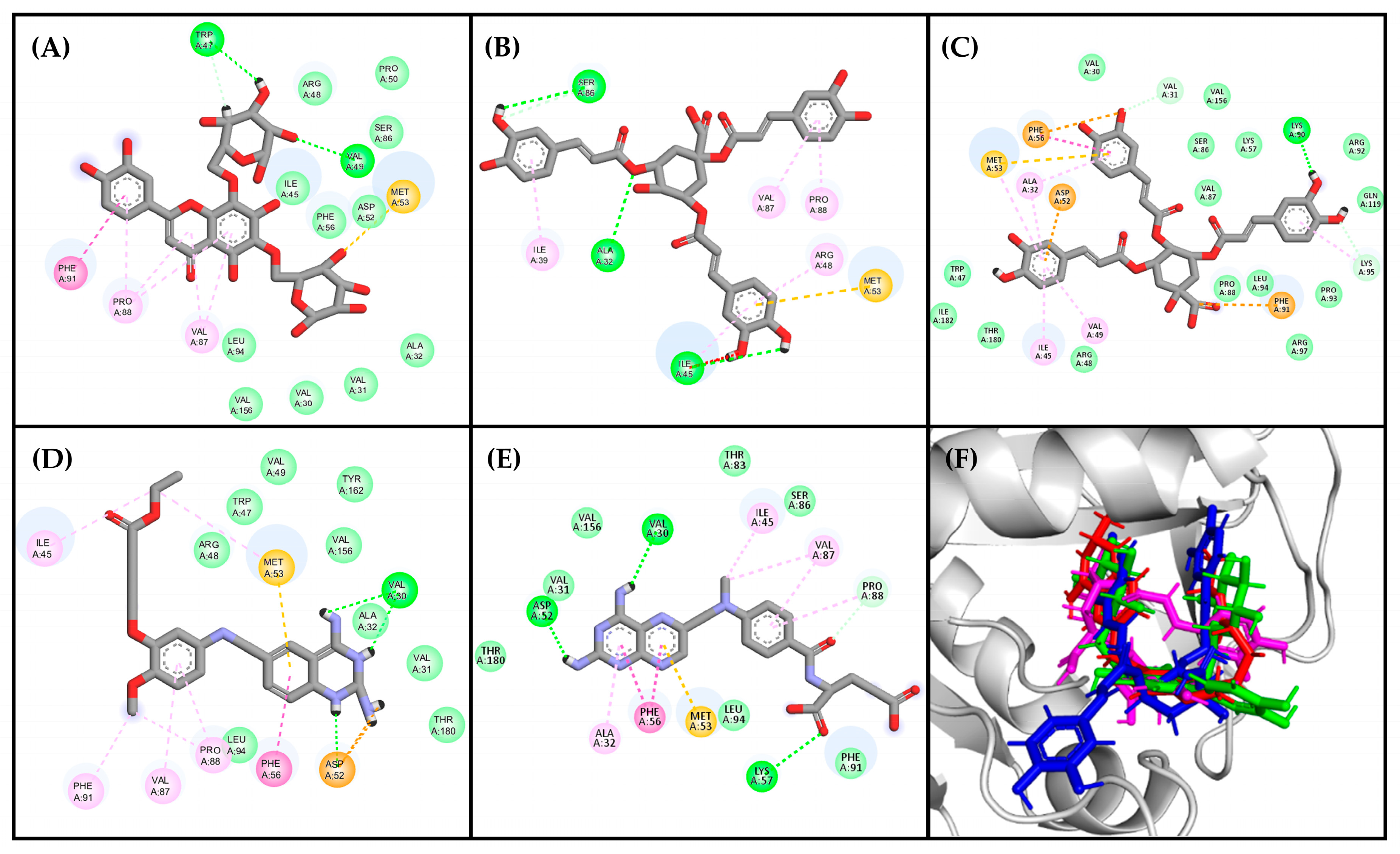 Molecules 29 00179 g005