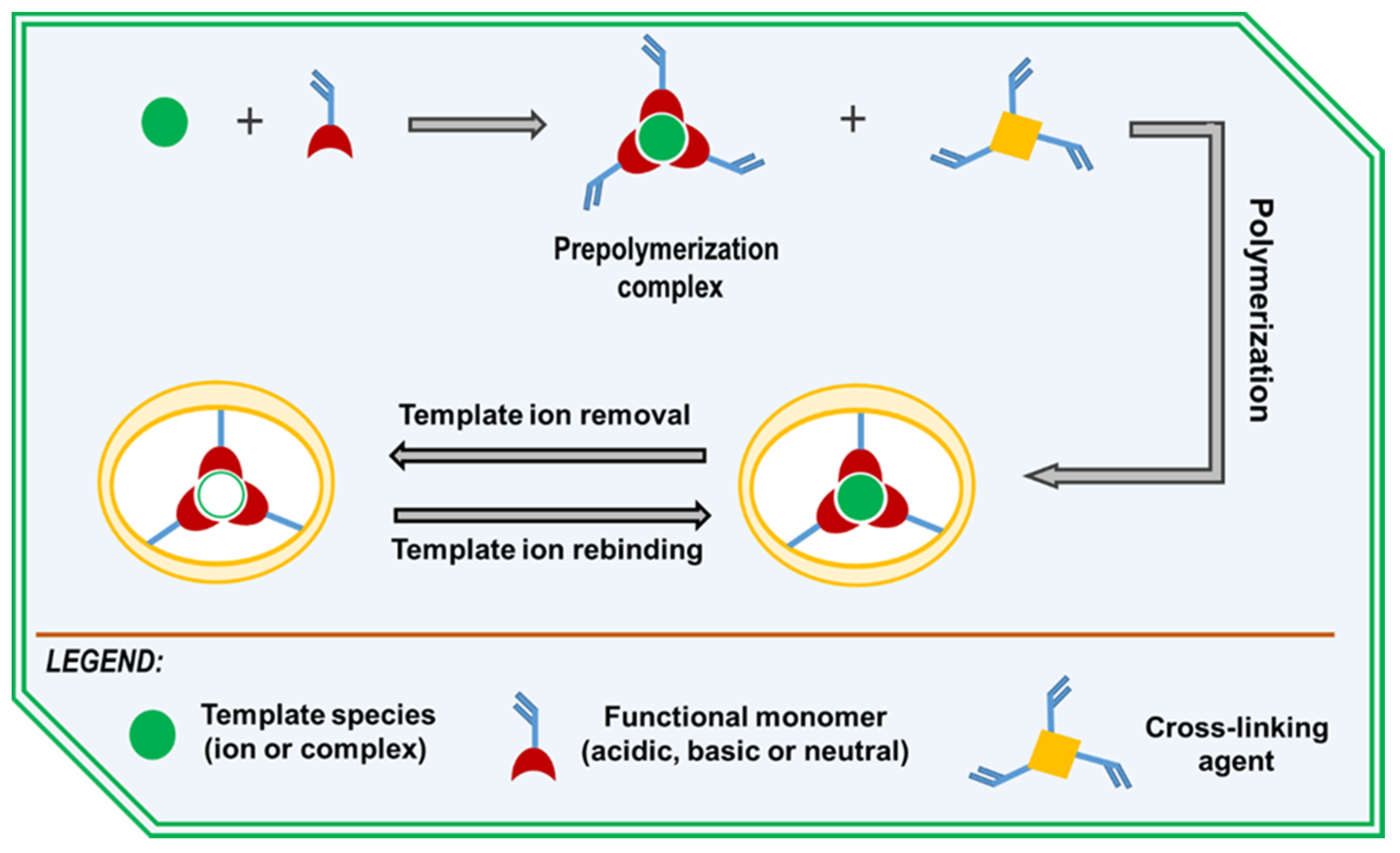 Molecules 29 00187 g002