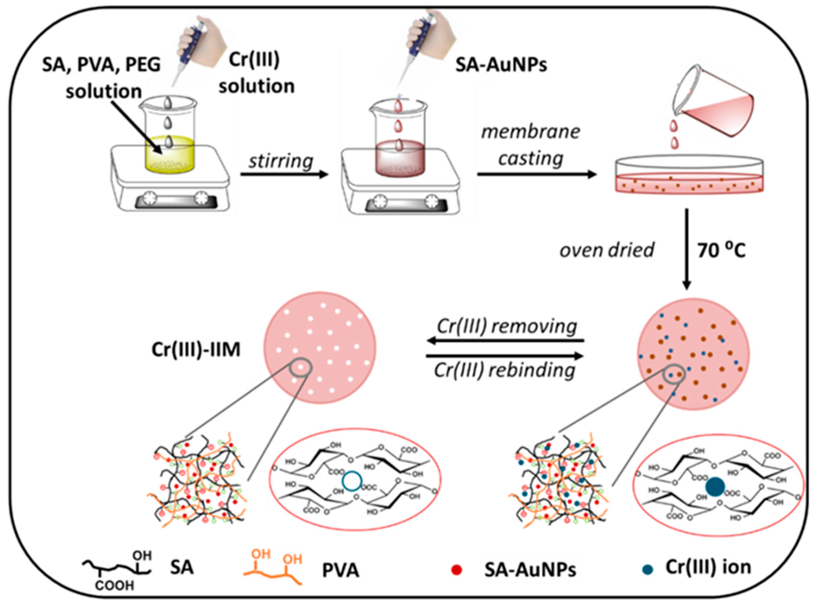 Molecules 29 00187 g004