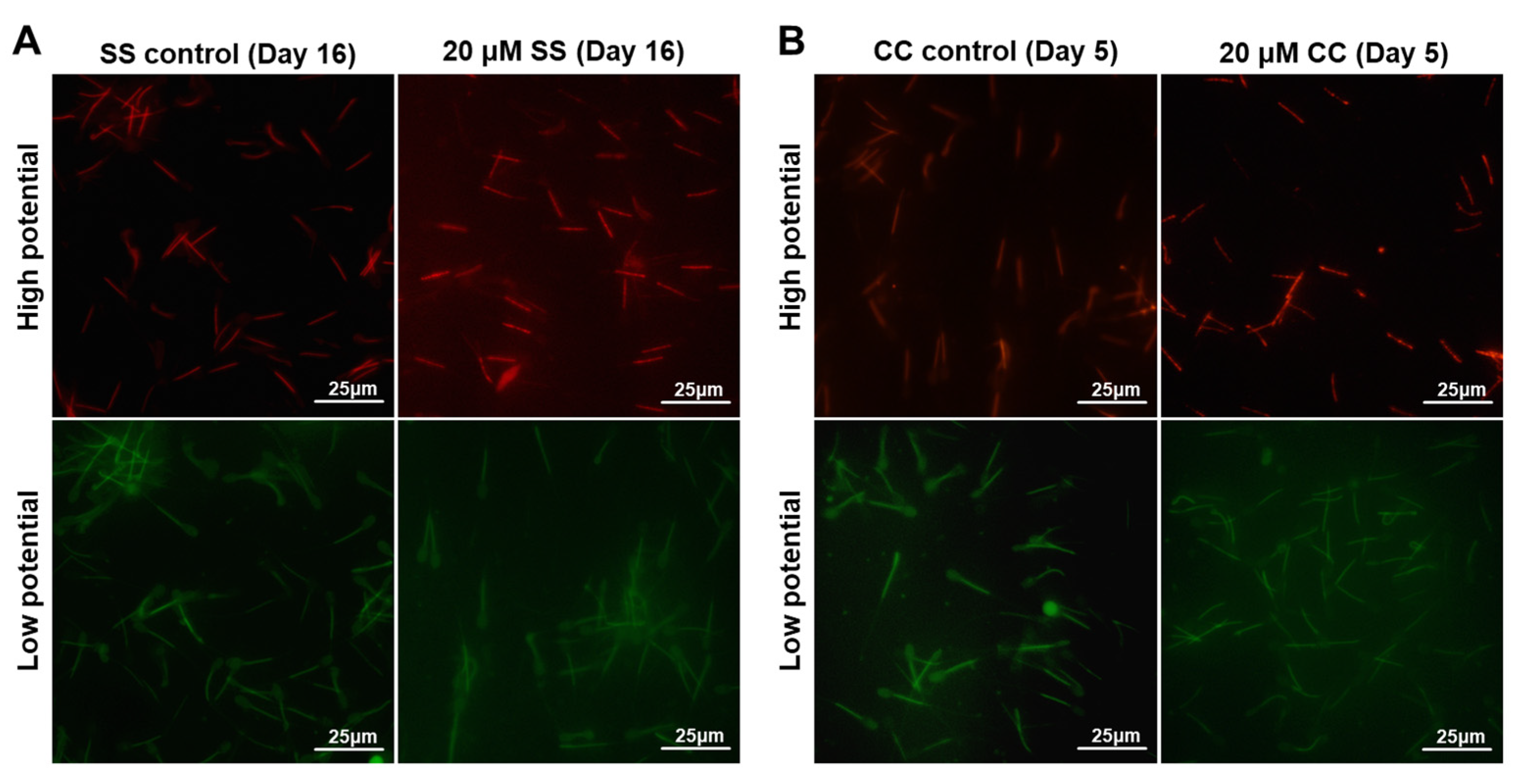 Molecules 29 00188 g004