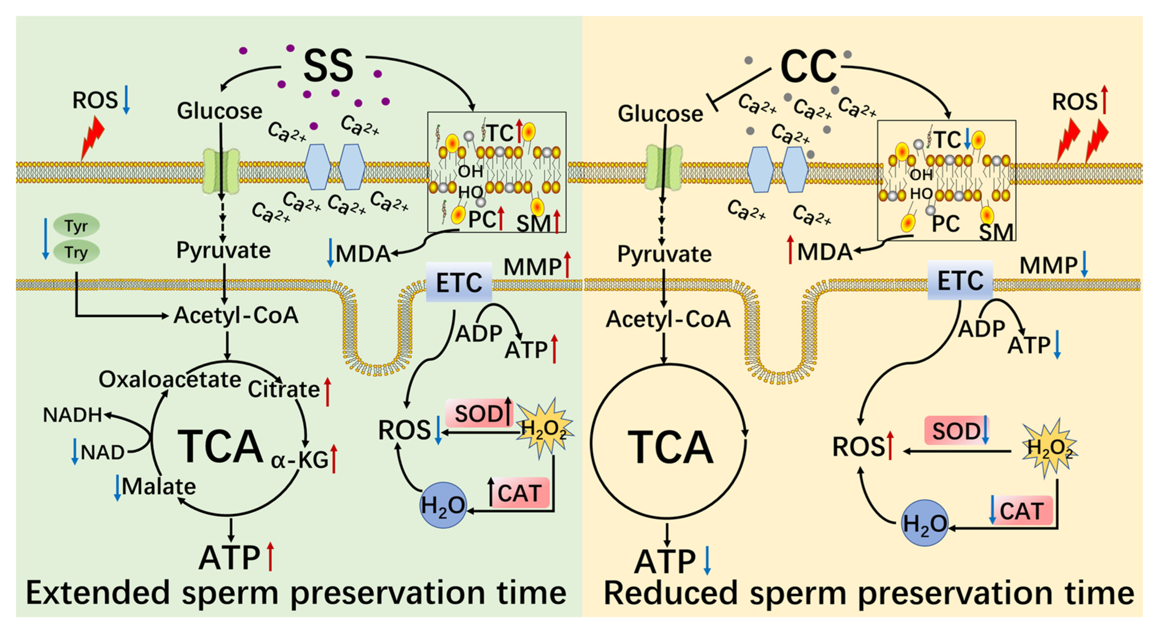 Molecules 29 00188 g009
