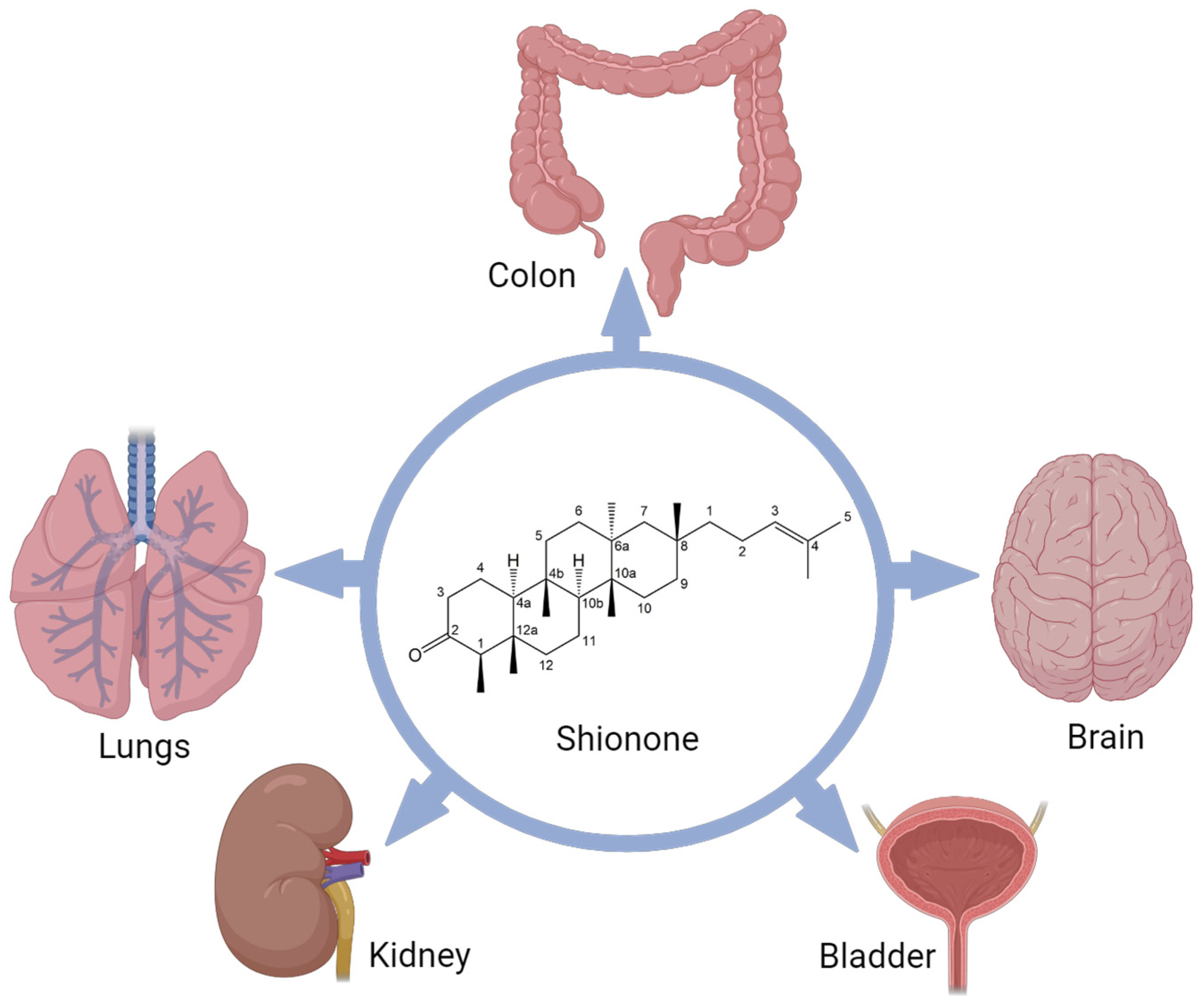 Molecules 29 00189 g001