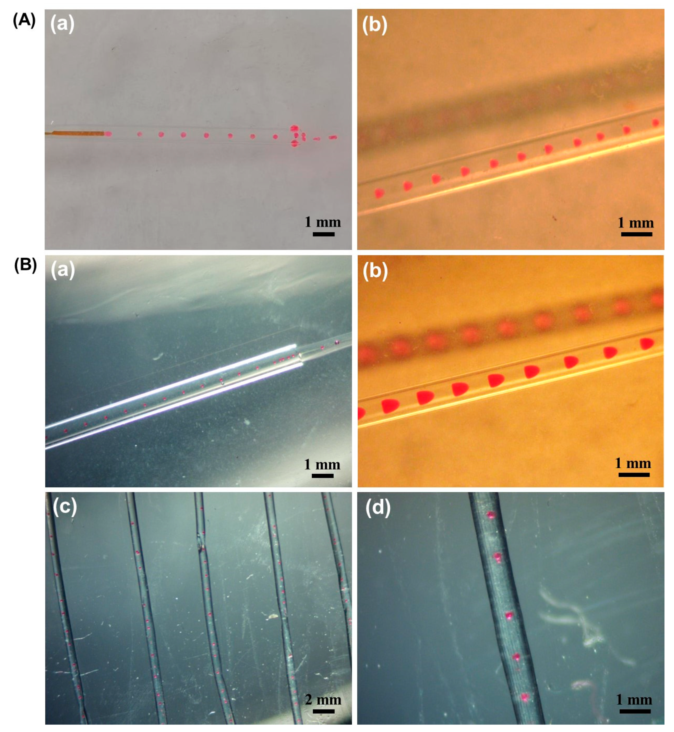 Molecules 29 00193 g001
