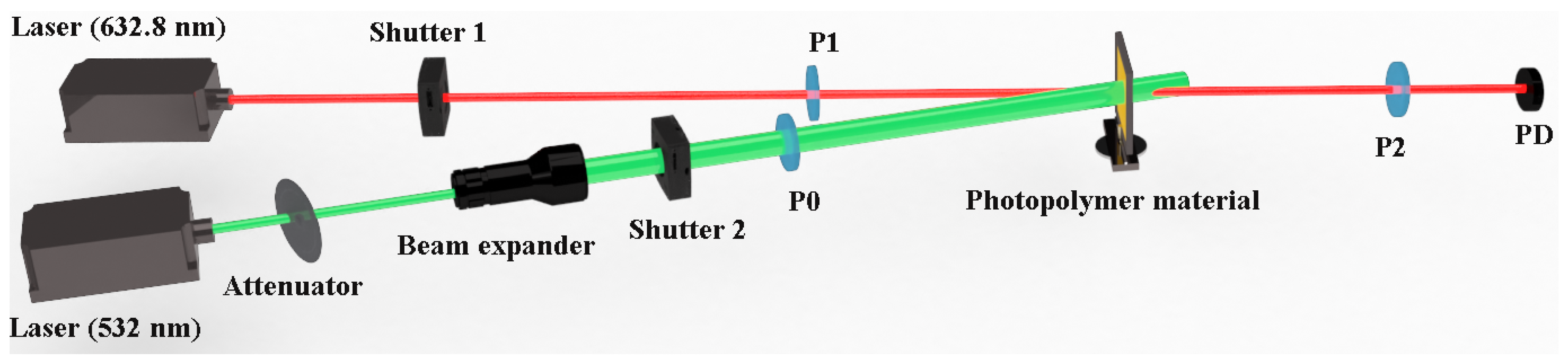 Molecules 29 00214 g006
