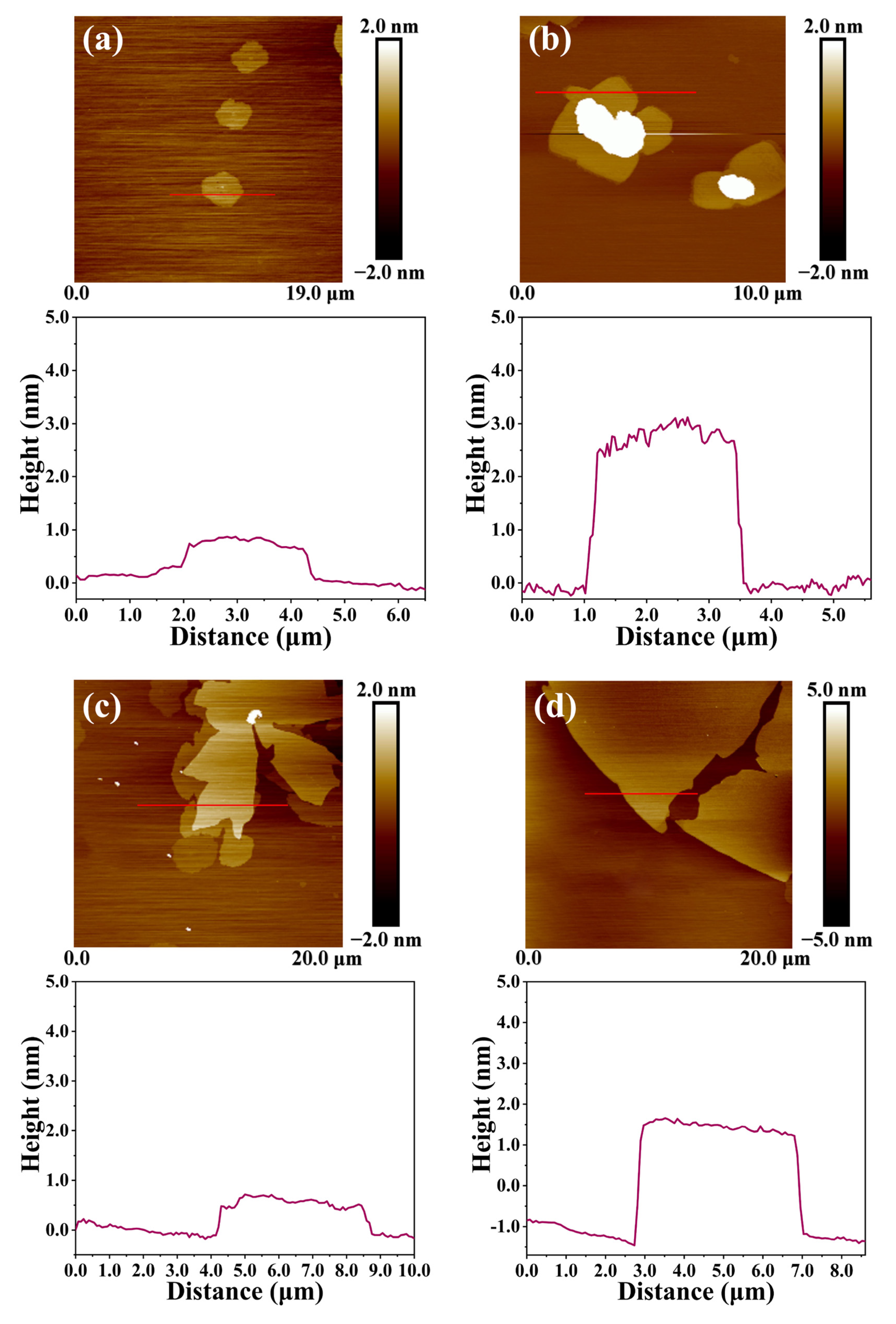 Molecules 29 00214 g013