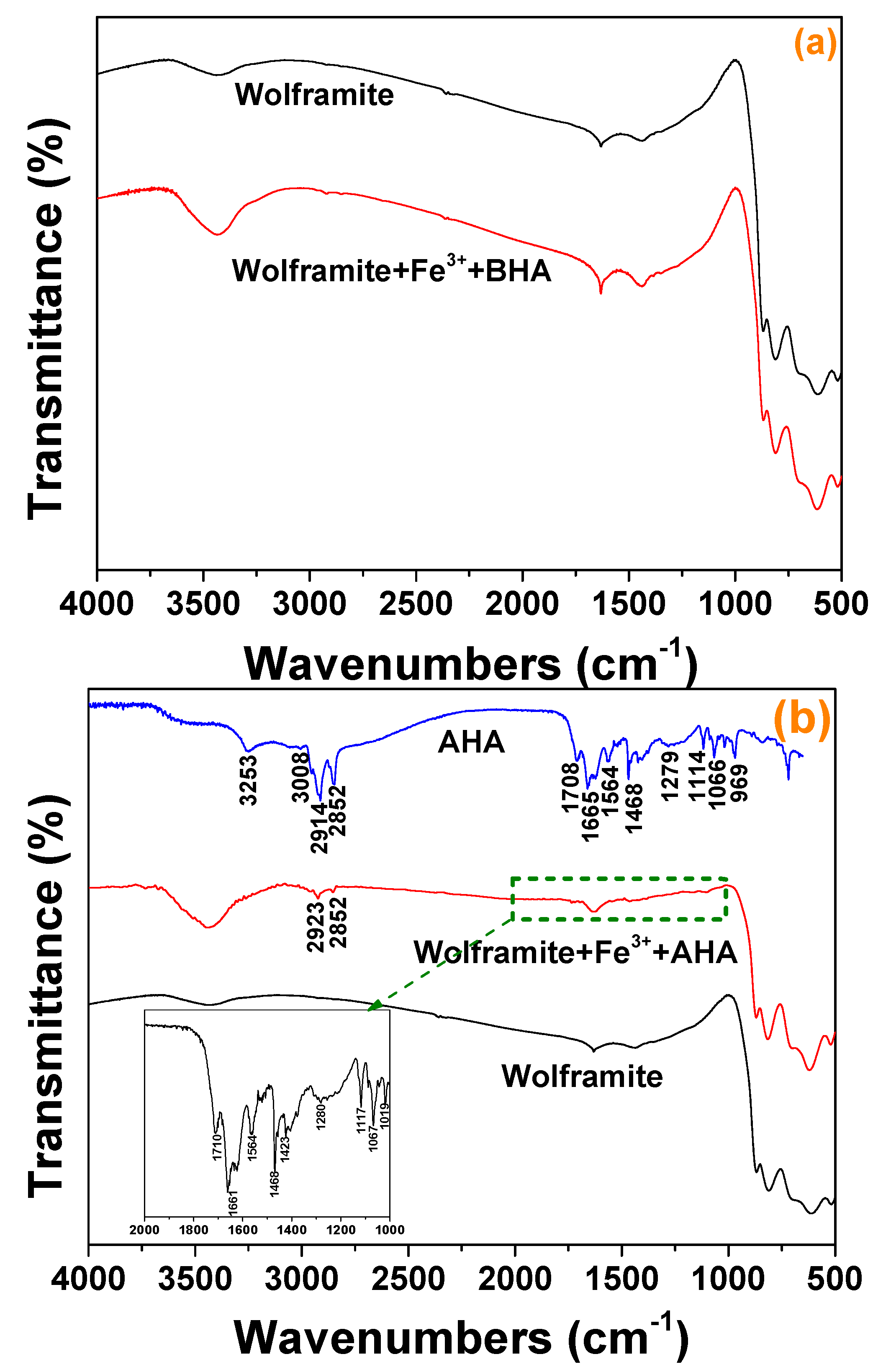 Molecules 29 00217 g007
