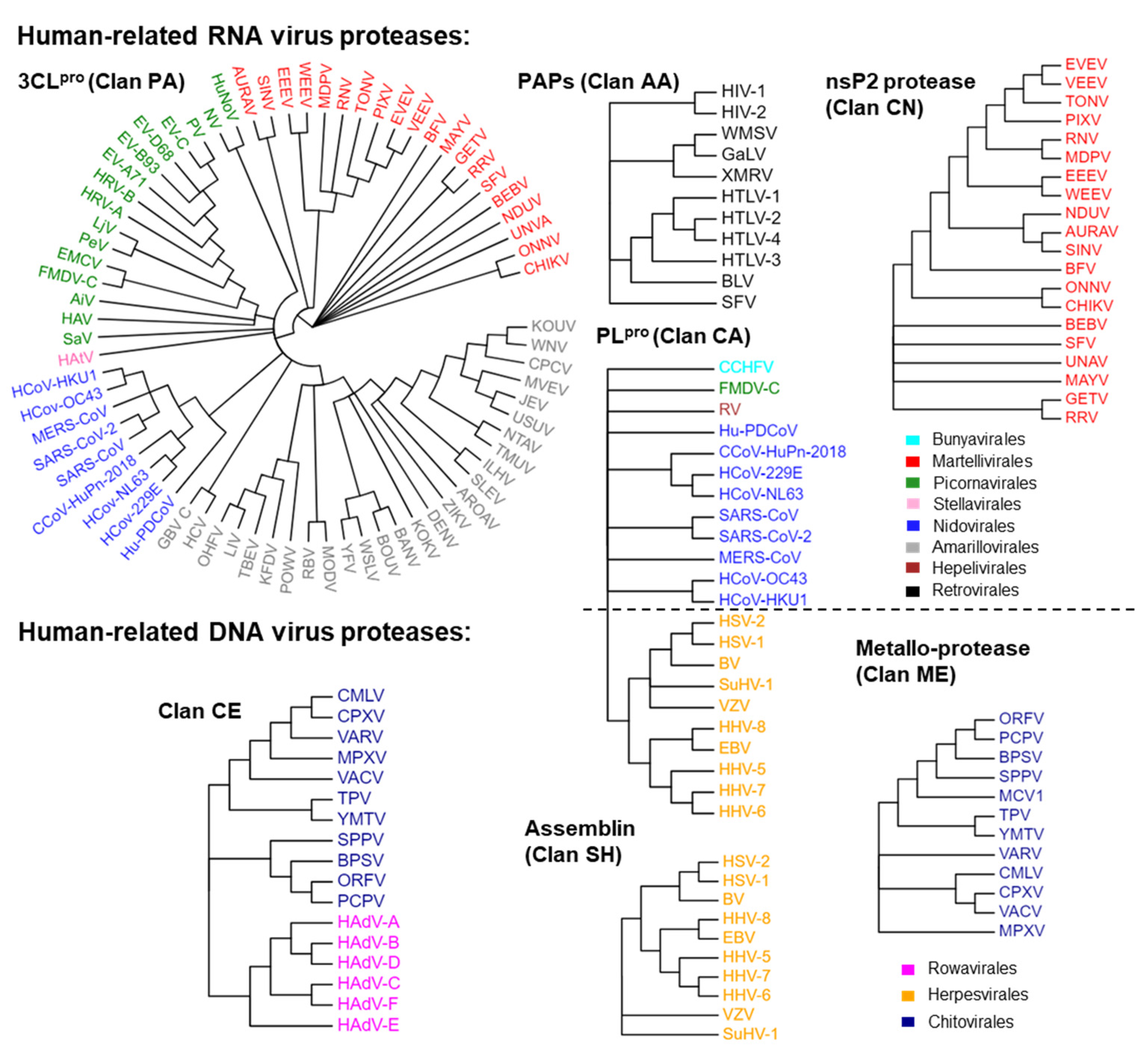 Molecules 29 00225 g002