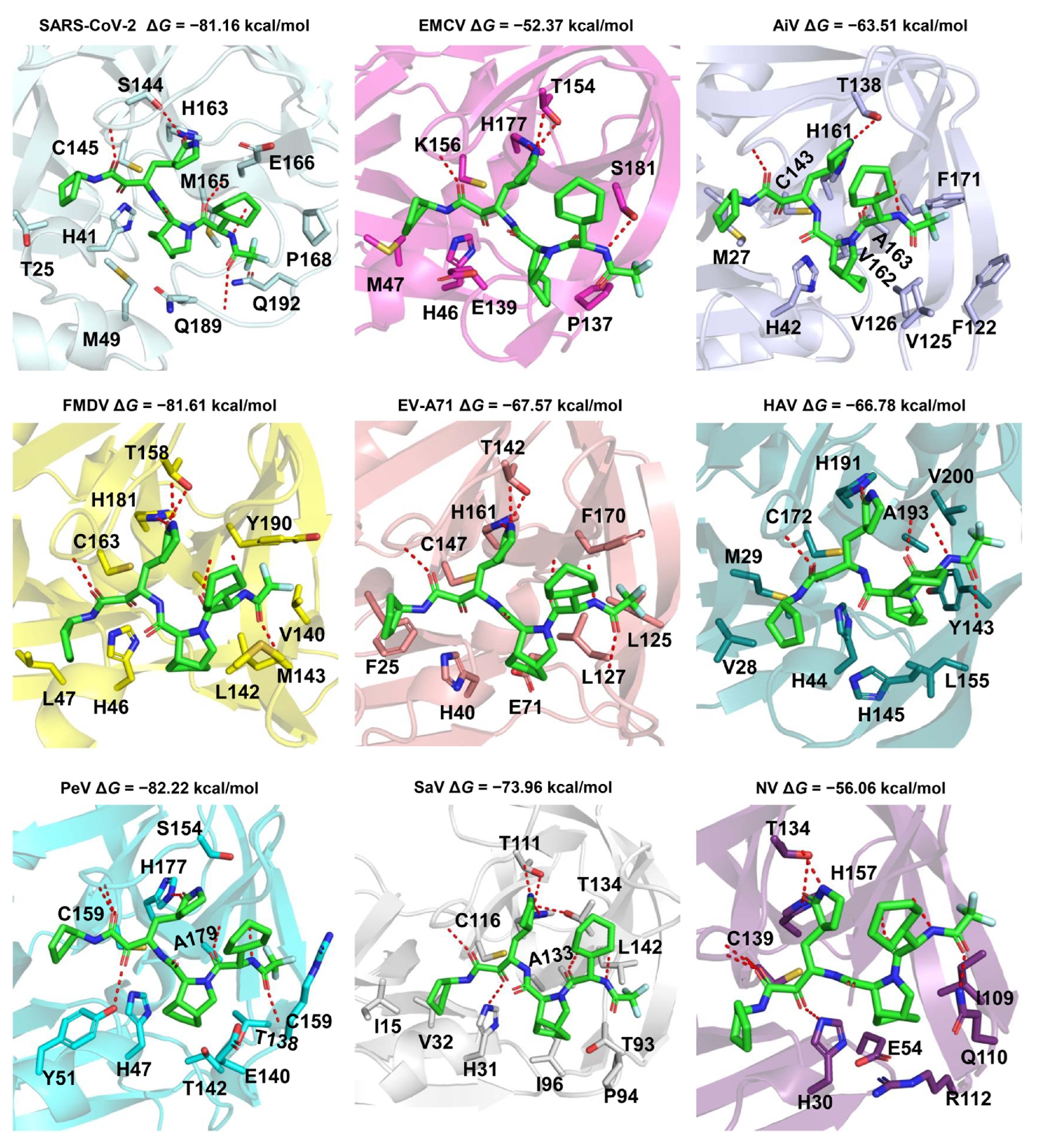 Molecules 29 00225 g005