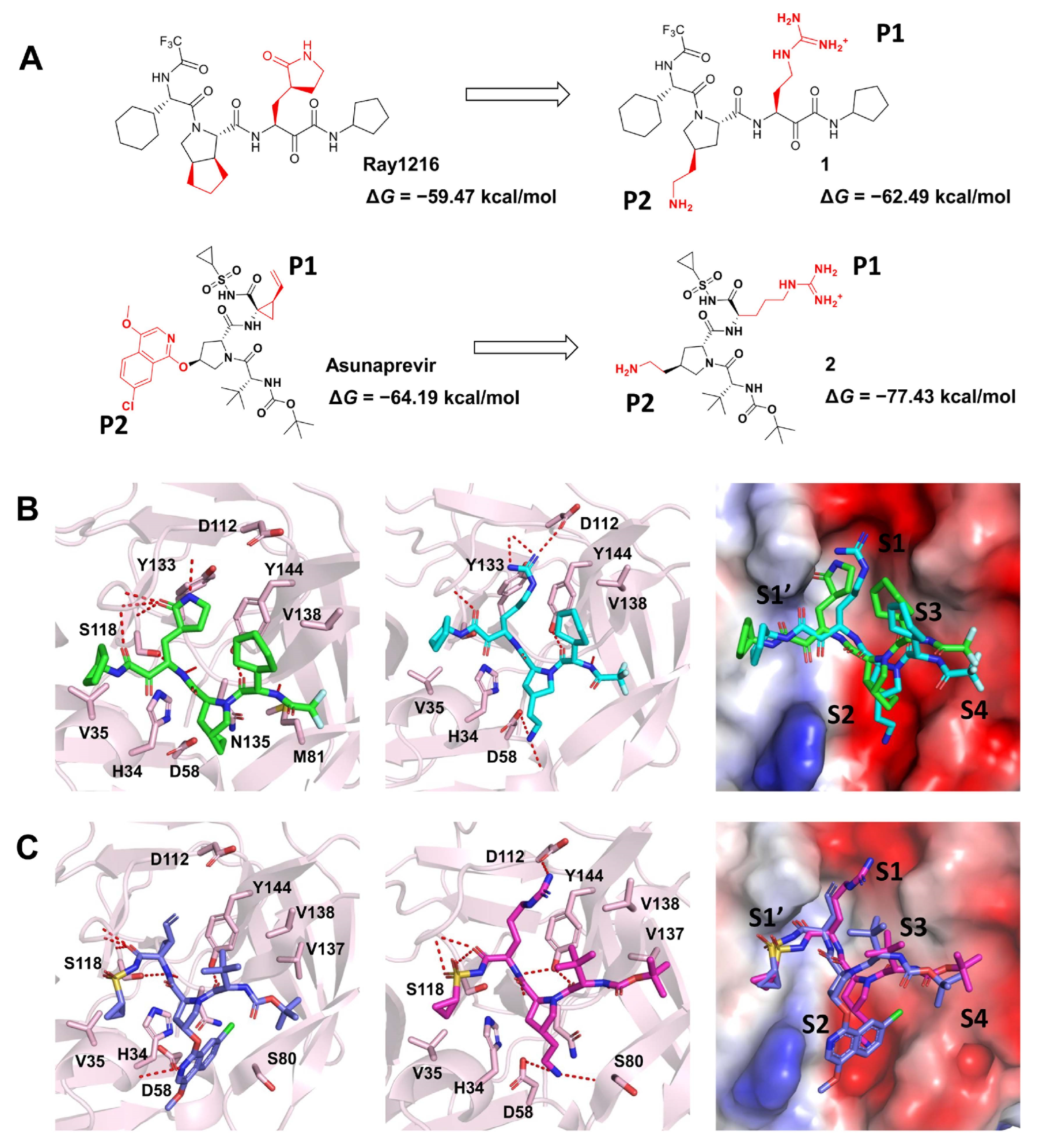Molecules 29 00225 g006