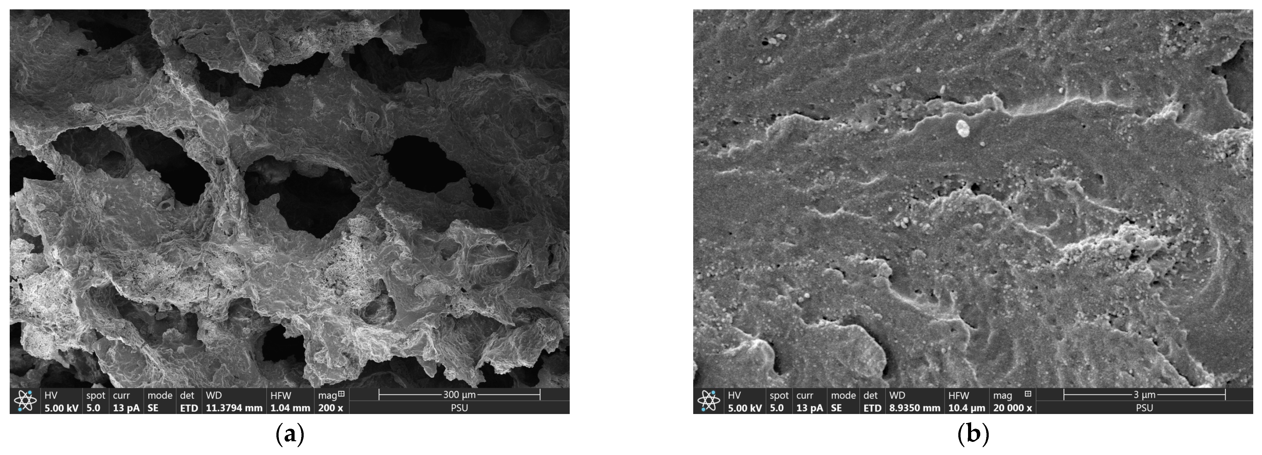 Molecules 29 00228 g001