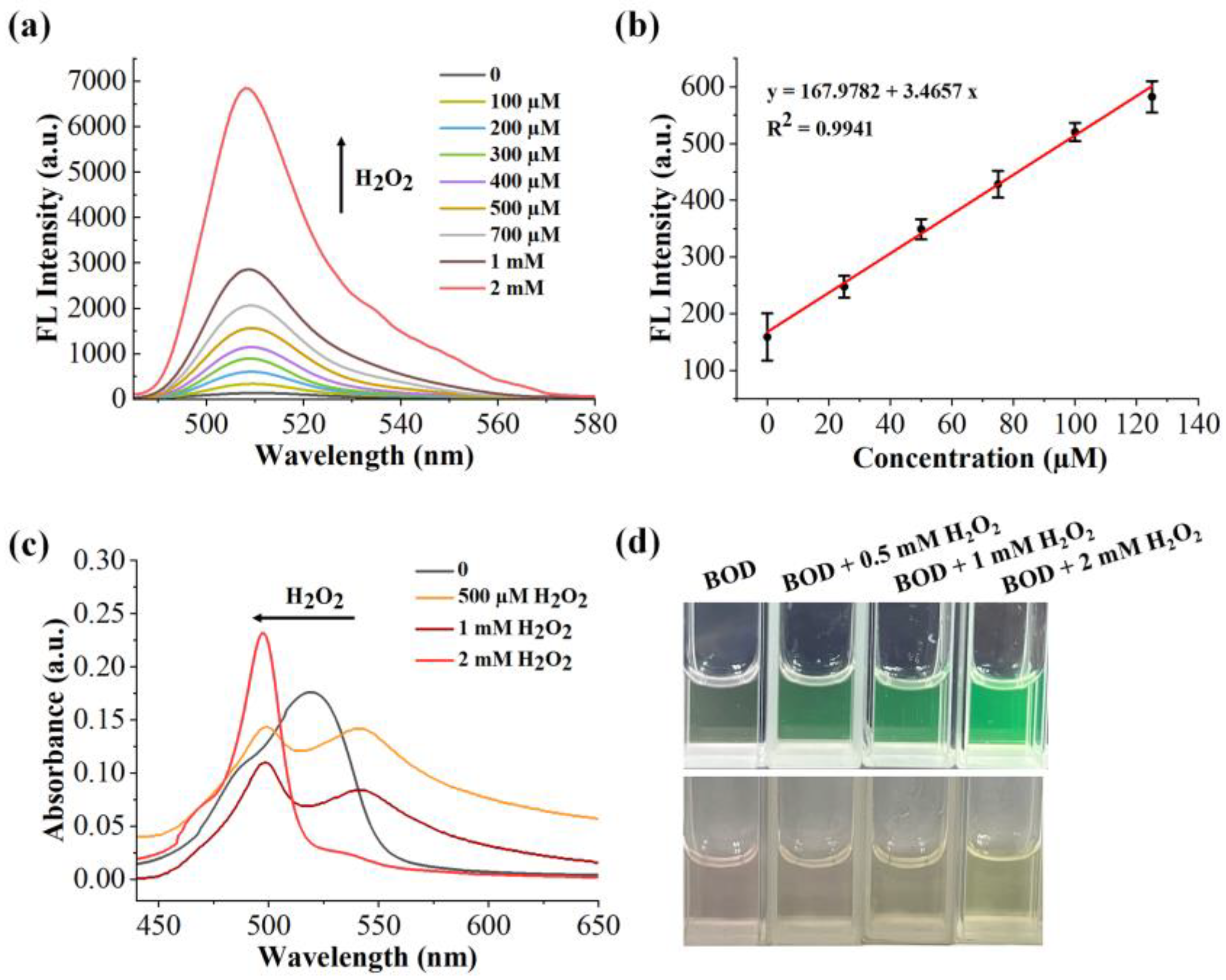 Molecules 29 00229 g005