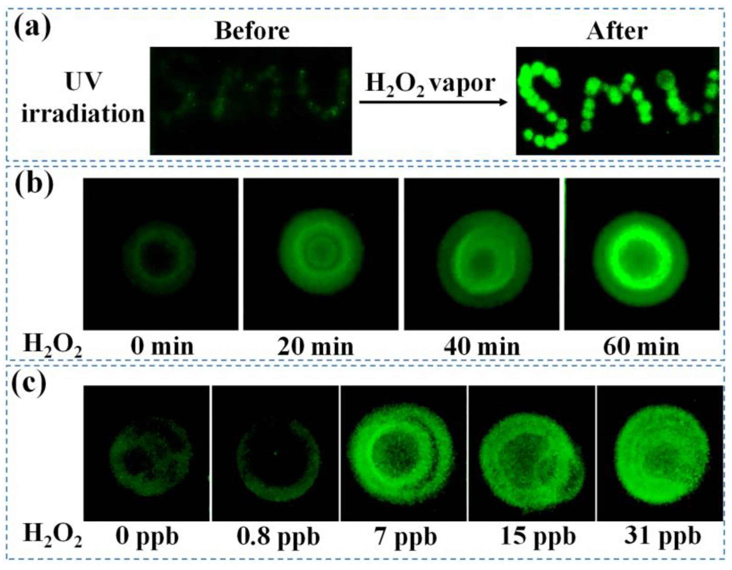 Molecules 29 00229 g007