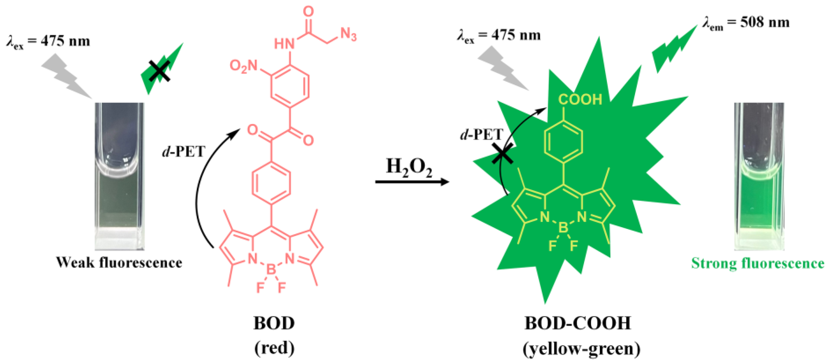 Molecules 29 00229 sch001