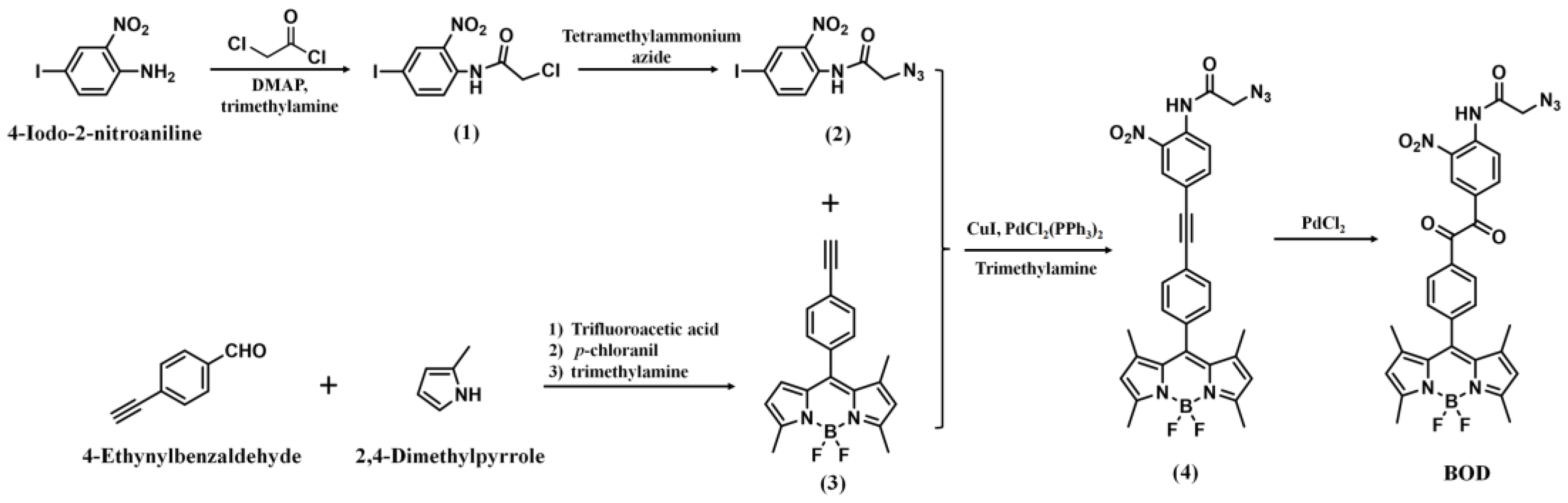 Molecules 29 00229 sch002