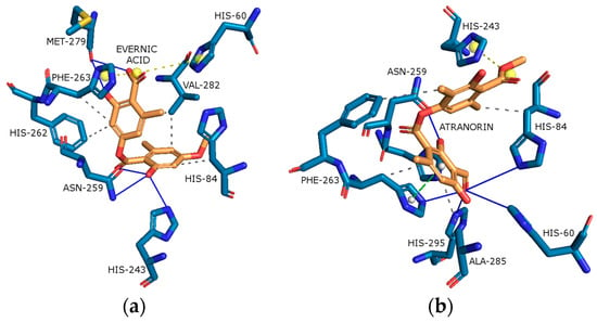 Molecules, Free Full-Text