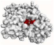 Molecules 29 00233 i006