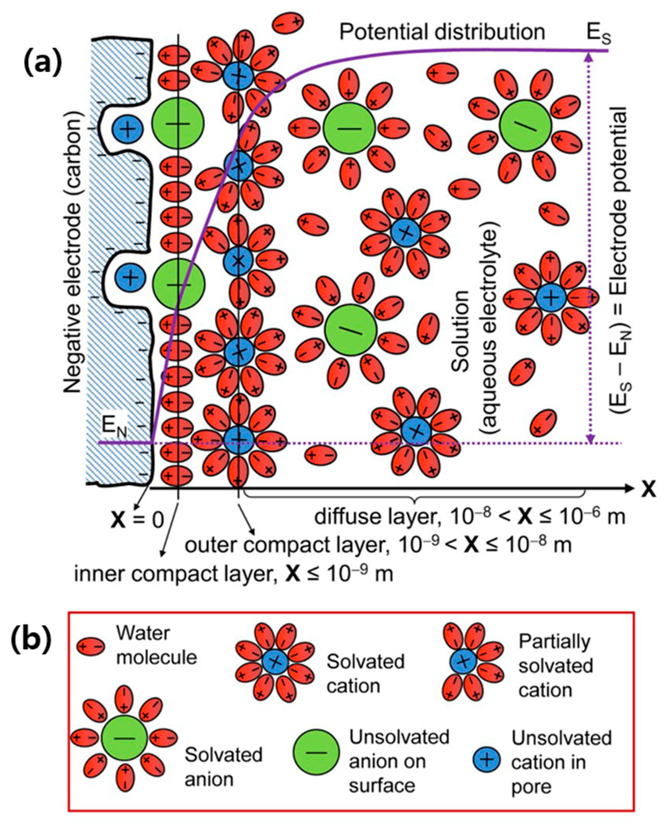 Molecules 29 00243 g008