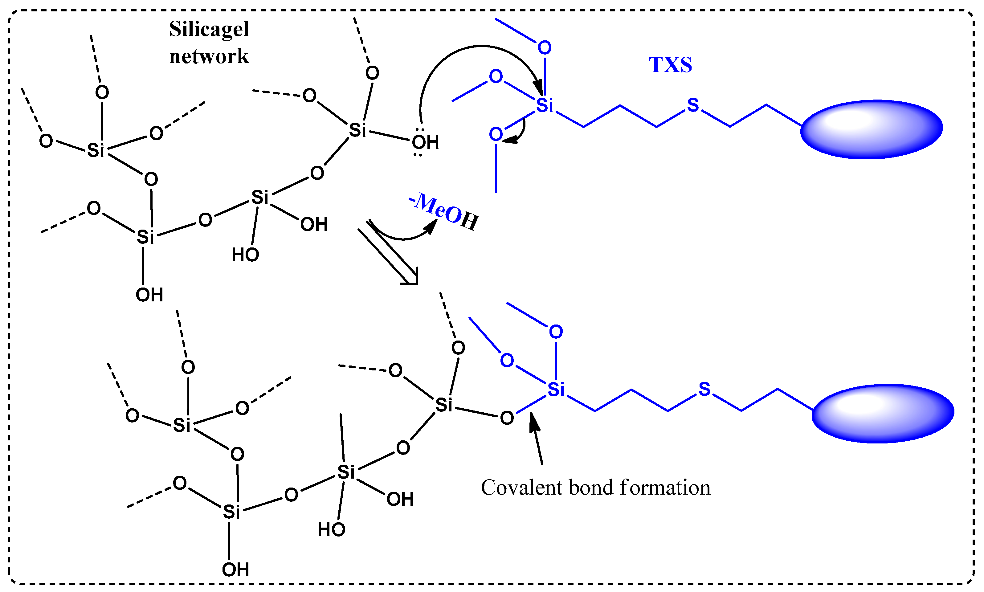Molecules 29 00255 sch002