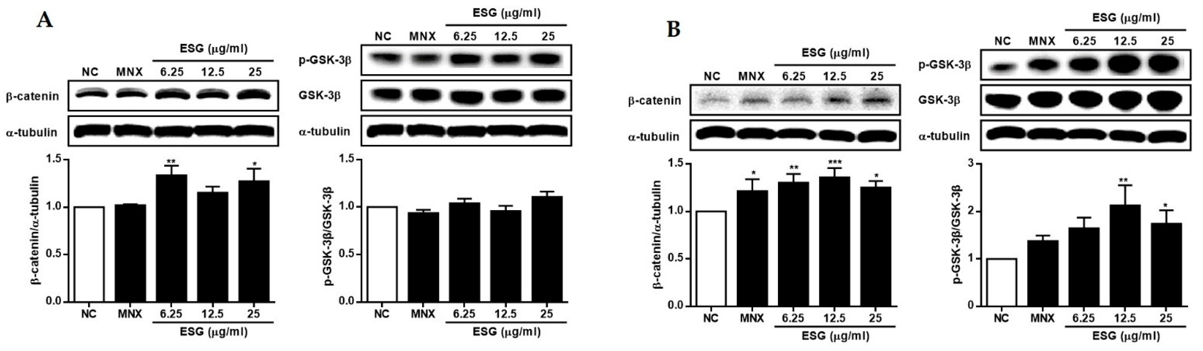 Molecules 29 00298 g005