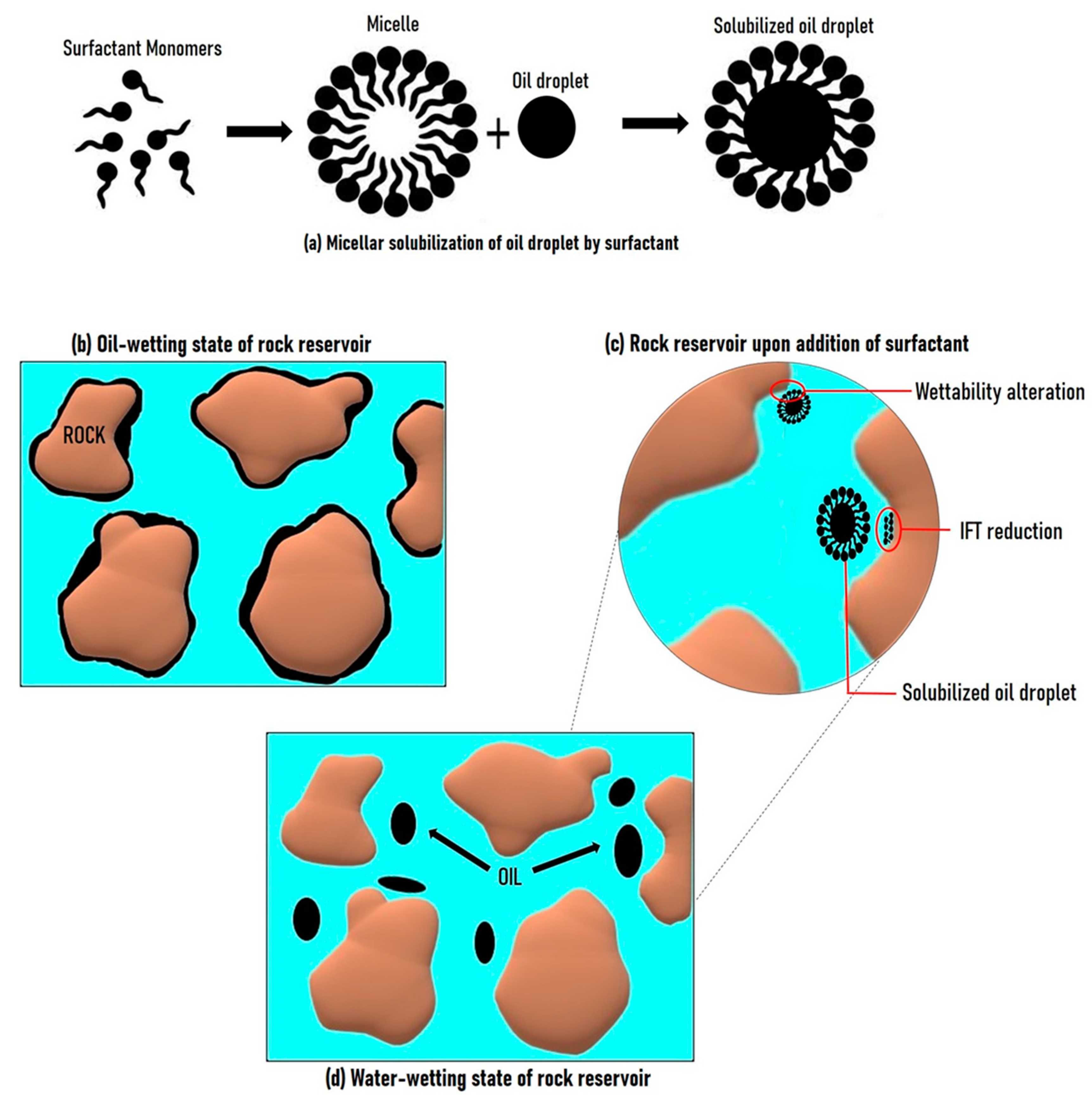 Molecules 29 00301 g004