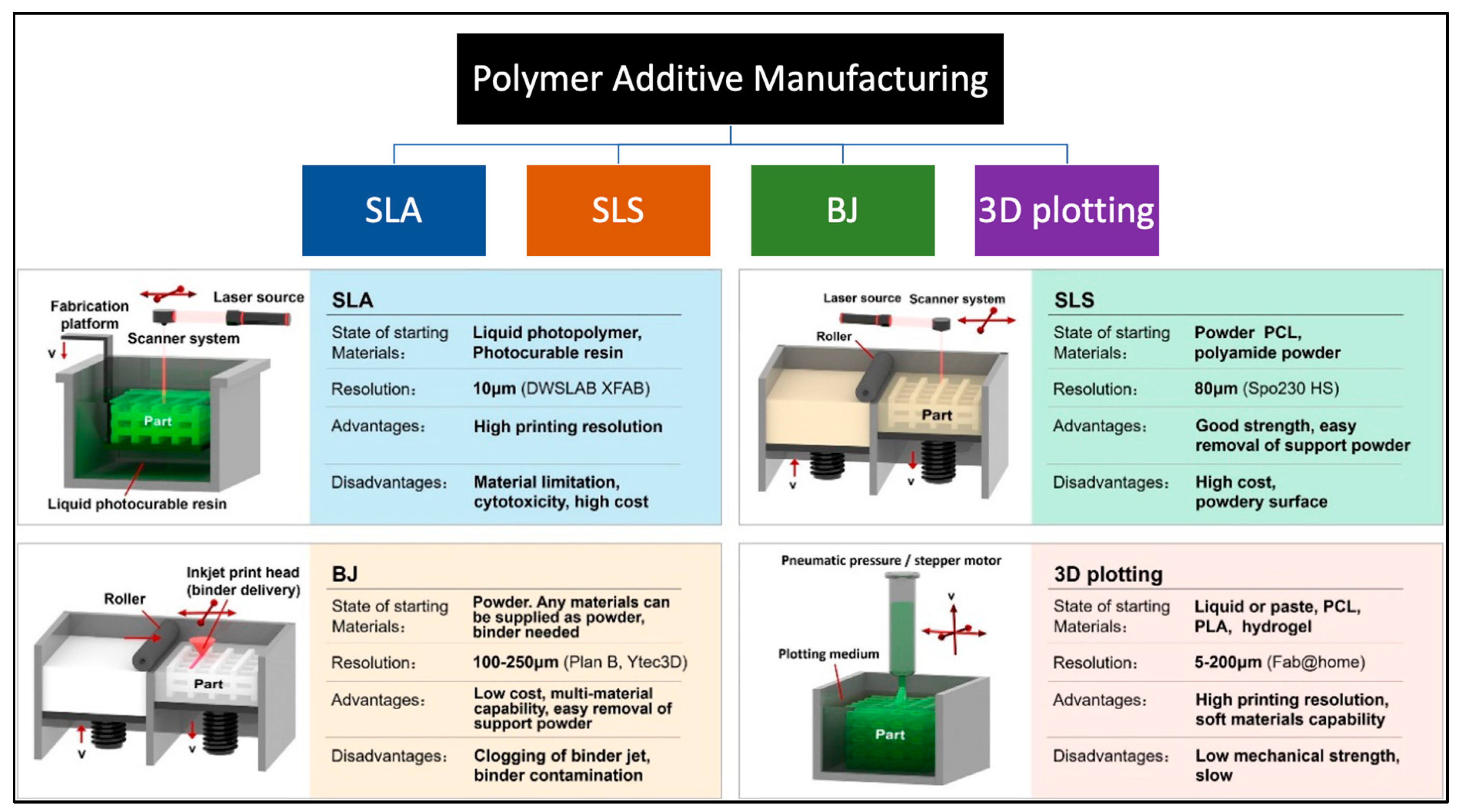 Molecules 29 00319 g003