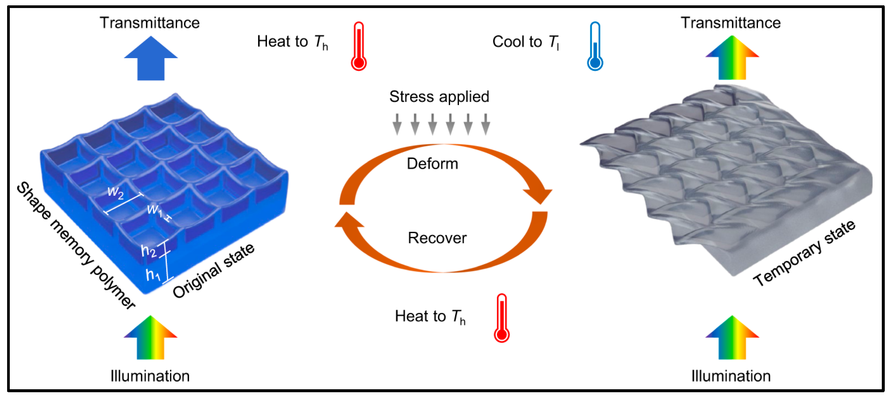Molecules 29 00319 g008