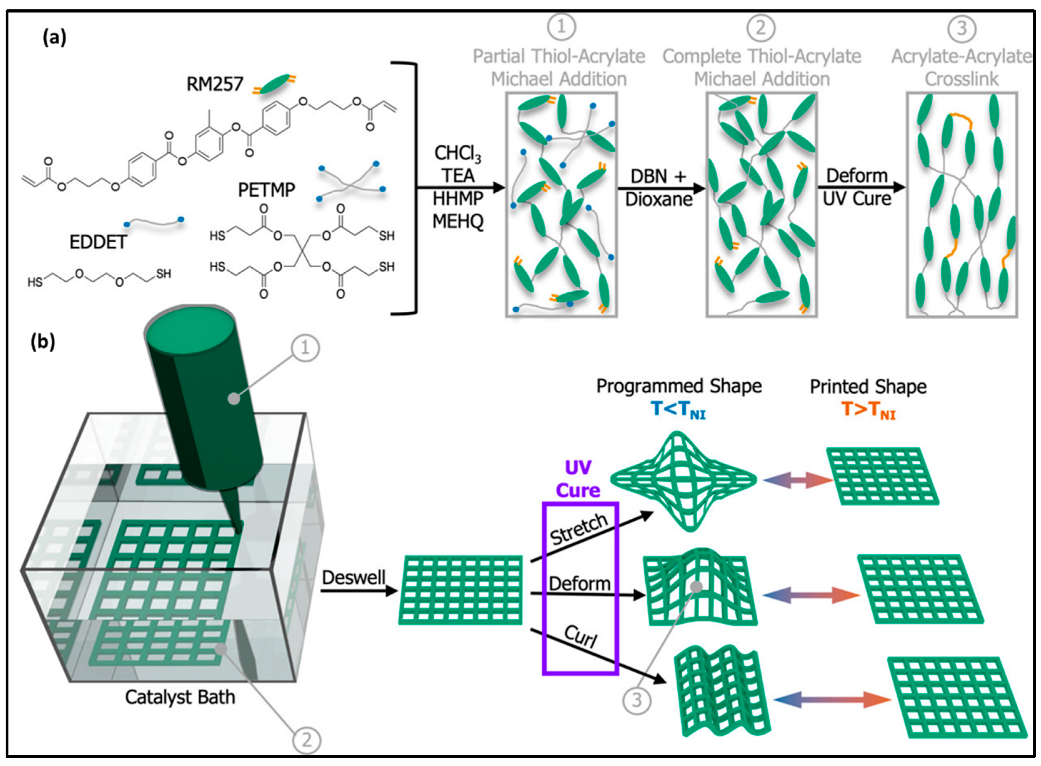 Molecules 29 00319 g009