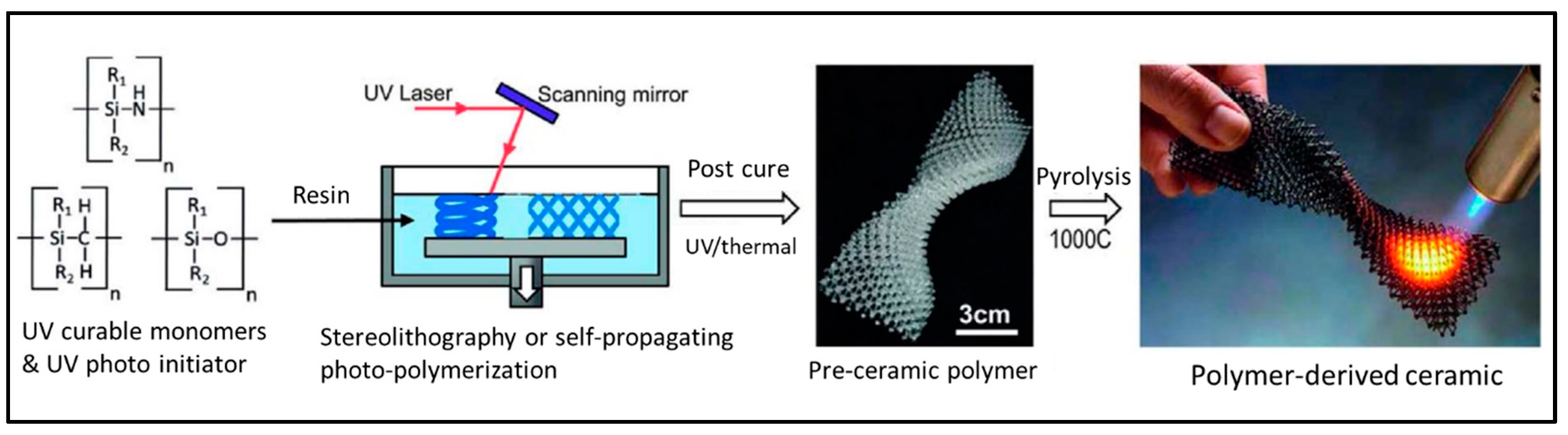 Molecules 29 00319 g016